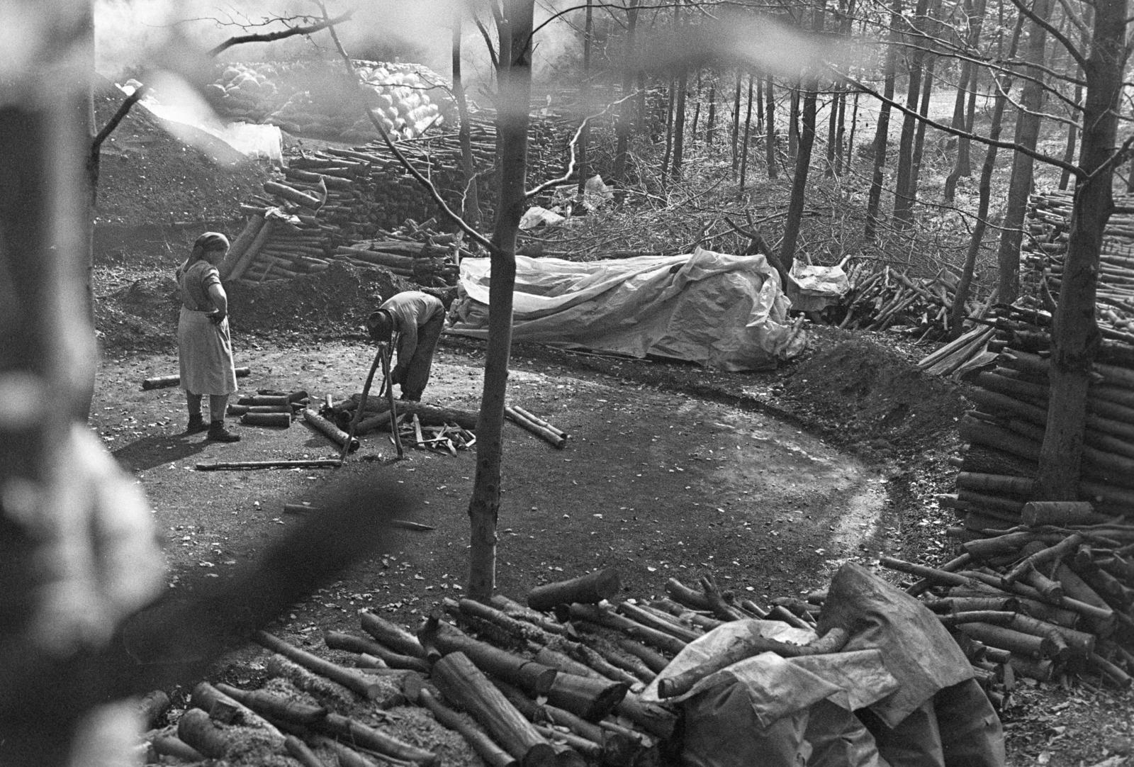 Hungary, Répáshuta, szénégető / faszén készítő telep., 1976, Szebeni András, coal burning, Fortepan #304181