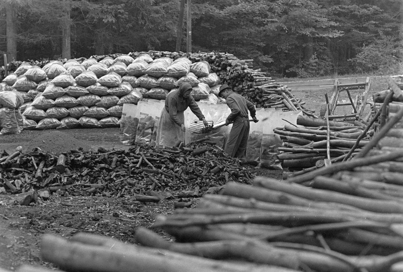 Magyarország, Répáshuta, szénégető / faszén készítő telep., 1976, Szebeni András, zsák, boksa, szénégetés, vasvilla, Fortepan #304183