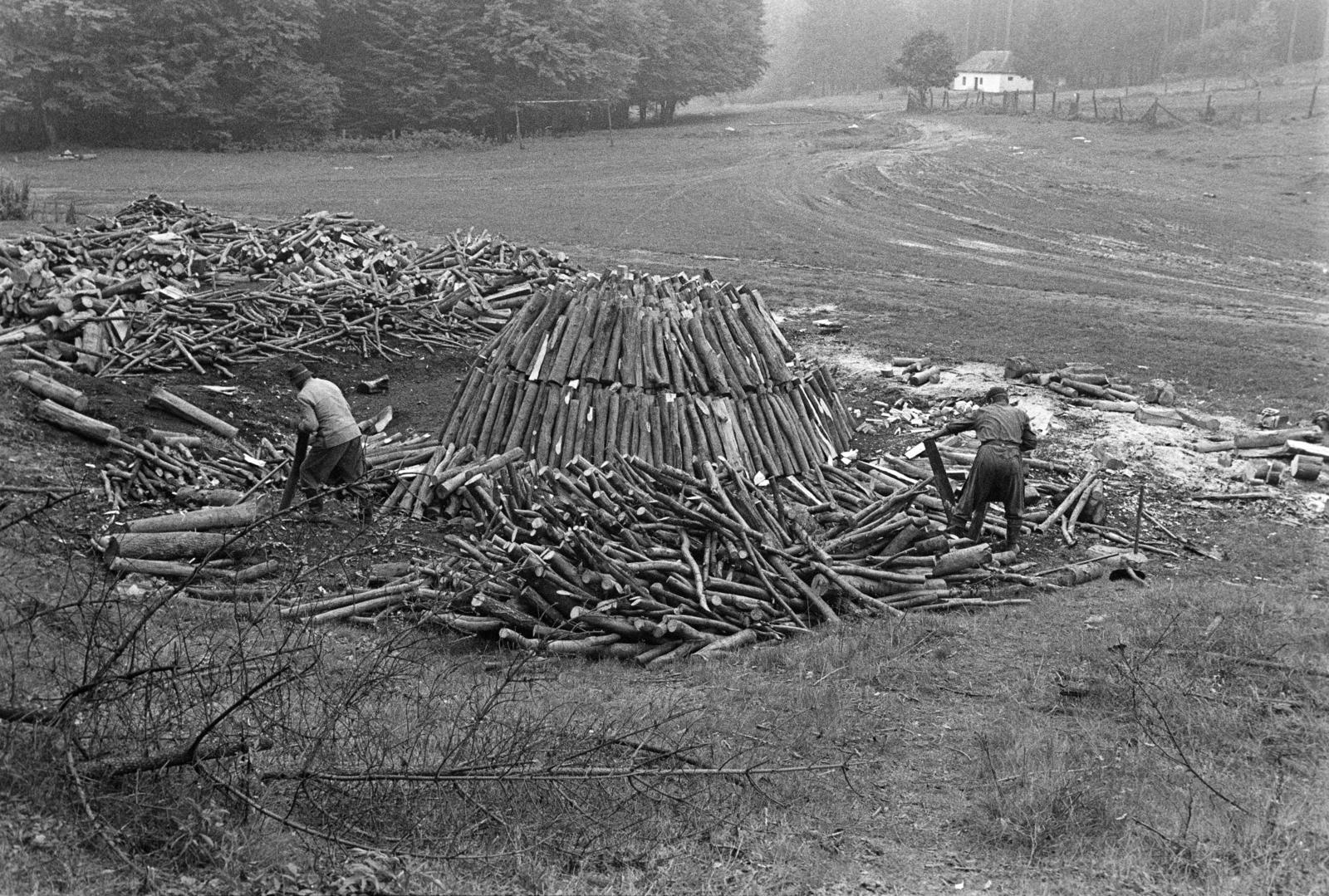 Magyarország, Répáshuta, szénégető / faszén készítő telep., 1981, Szebeni András, boksa, szénégetés, Fortepan #304184