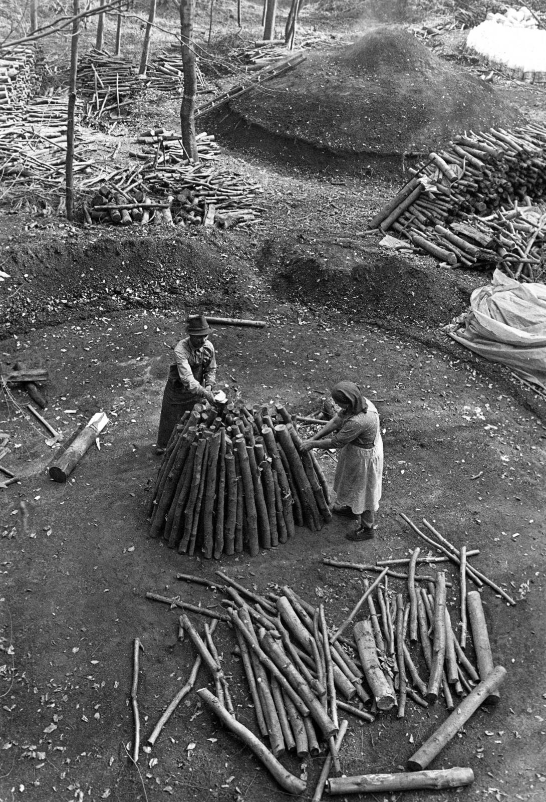 Magyarország, Répáshuta, szénégető / faszén készítő telep., 1981, Szebeni András, kihalt mesterség, farakás, boksa, szénégetés, Fortepan #304186