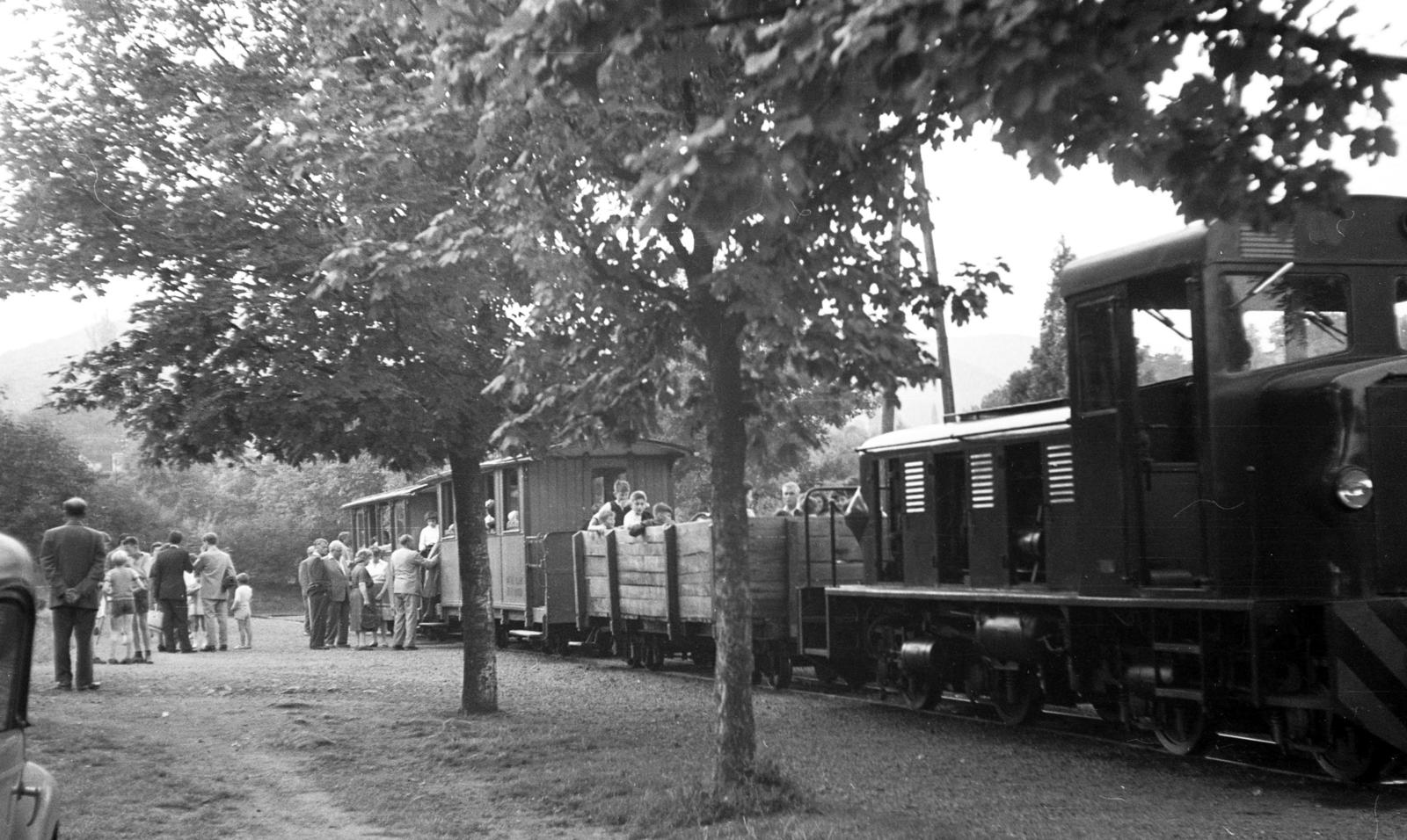 1966, Beszeda László Zoltán, Fortepan #304213