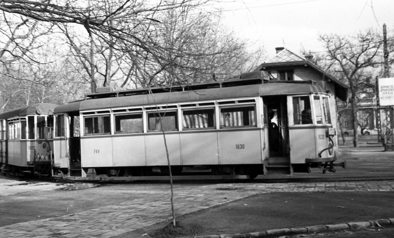 1960, Beszeda László Zoltán, Fortepan #304225