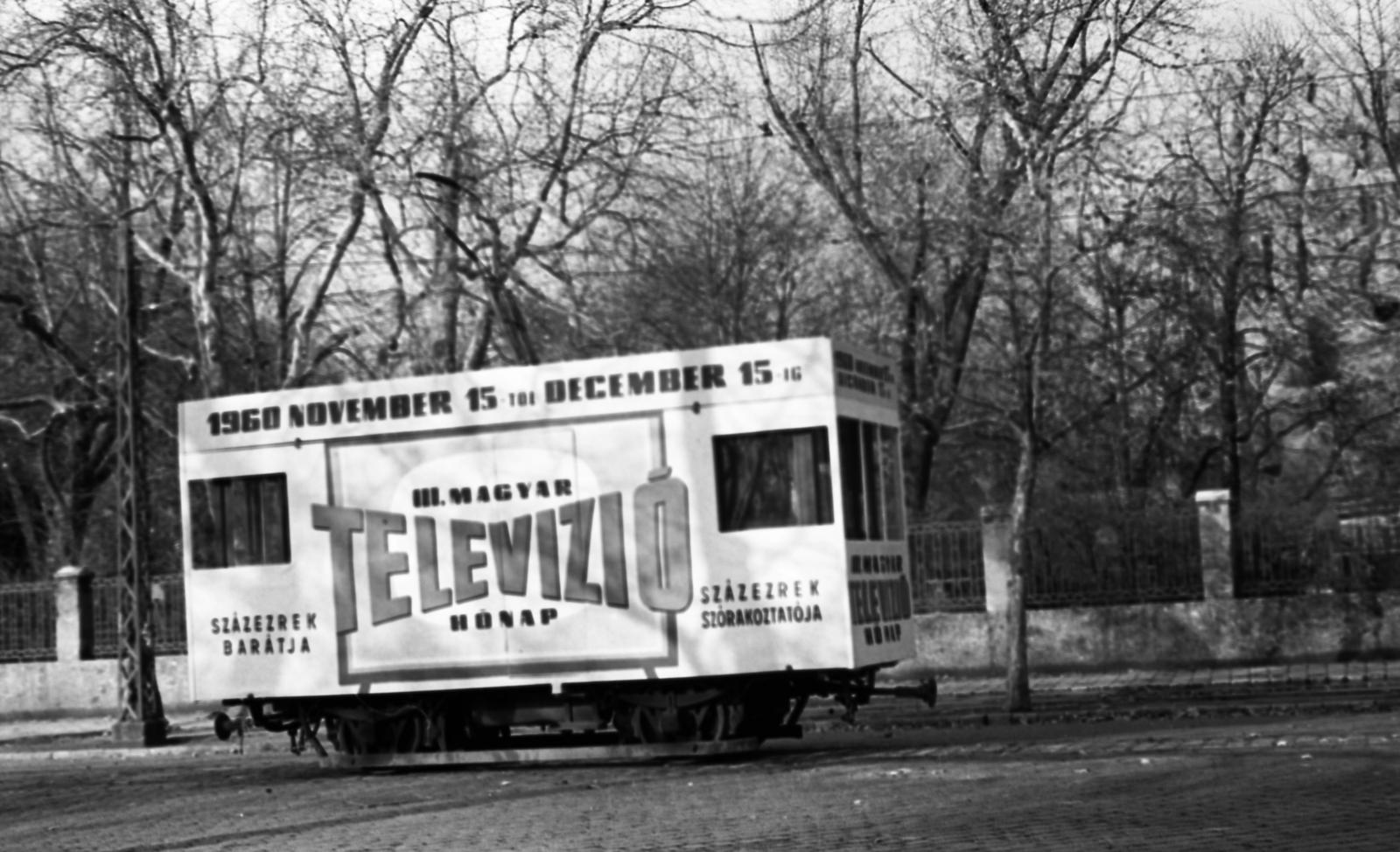 1960, Beszeda László Zoltán, Fortepan #304226