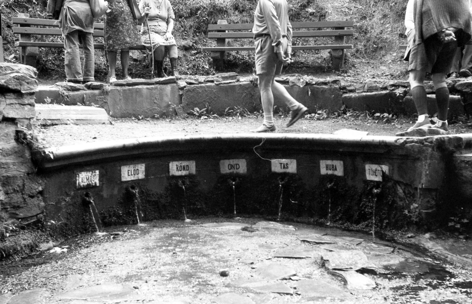 1962, Beszeda László Zoltán, Fortepan #304233