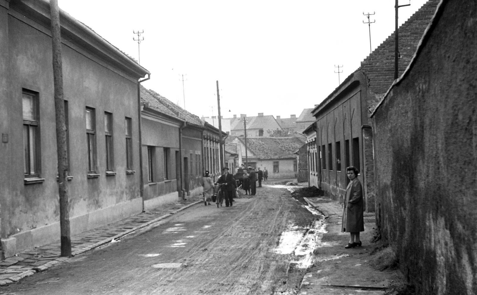1963, Beszeda László Zoltán, Fortepan #304241