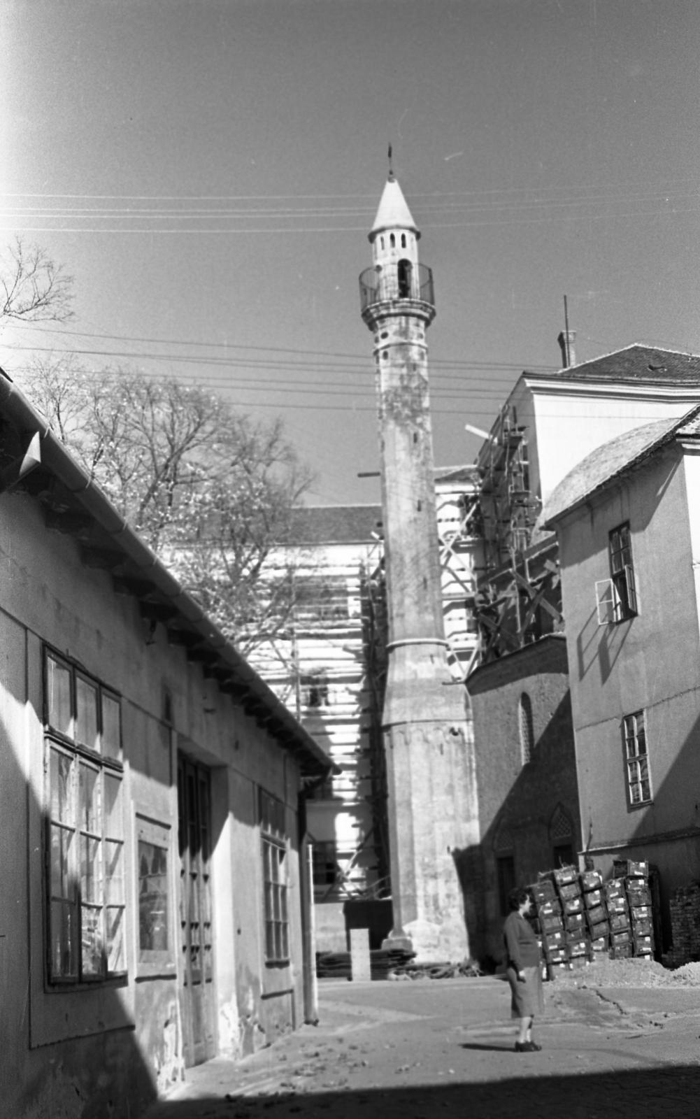 Hungary, Pécs, Rákóczi út 2., a Pécsi Tudományegyetem Klinikai Központ udvara, szemben a Minaret Jakováli Hasszán pasa dzsámija mellett áll., 1963, Beszeda László Zoltán, Fortepan #304242