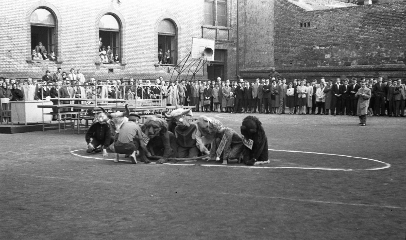 Hungary, Budapest VIII., Tavaszmező utca 17., a felvétel a Kandó Kálmán Híradásipari és Műszeripari Technikum (később Óbudai Egyetem Kandó Kálmán Villamosmérnöki Kar) udvarán készült., 1961, Beszeda László Zoltán, Budapest, Fortepan #304255