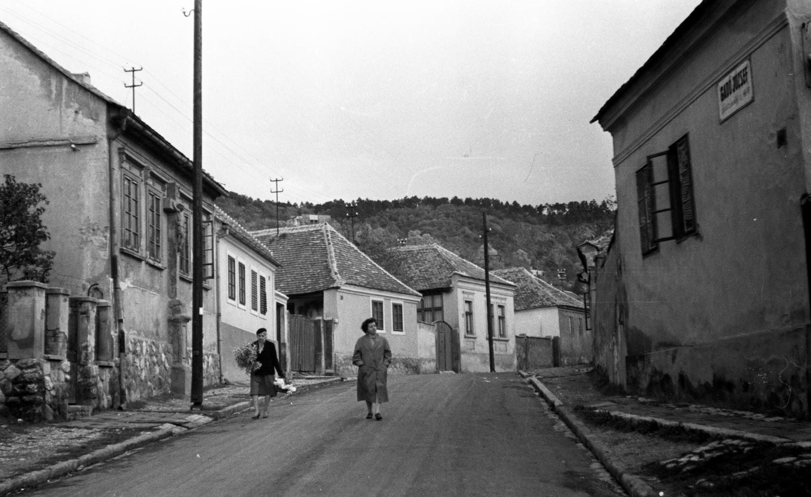 Magyarország, Pécs, Tettye utca, jobbra a 16-os számú ház, Gadó József lakatosmester műhelye., 1960, Beszeda László Zoltán, lakóház, Fortepan #304286