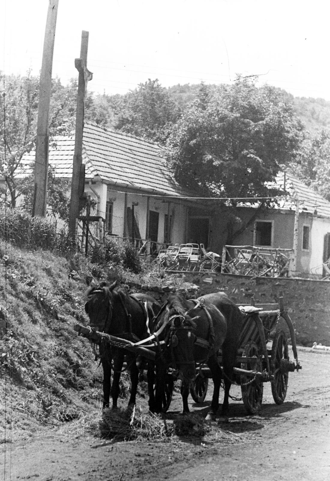 1963, Beszeda László Zoltán, Fortepan #304312