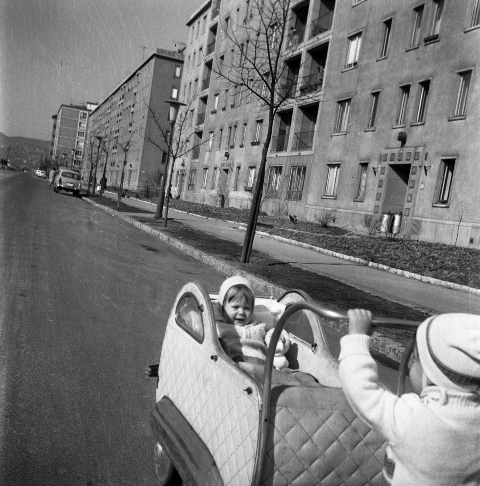 1965, Bán Tamás, Fortepan #304317