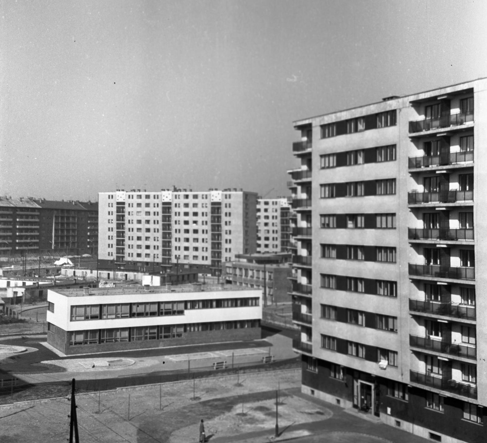 1965, Bán Tamás, Fortepan #304318