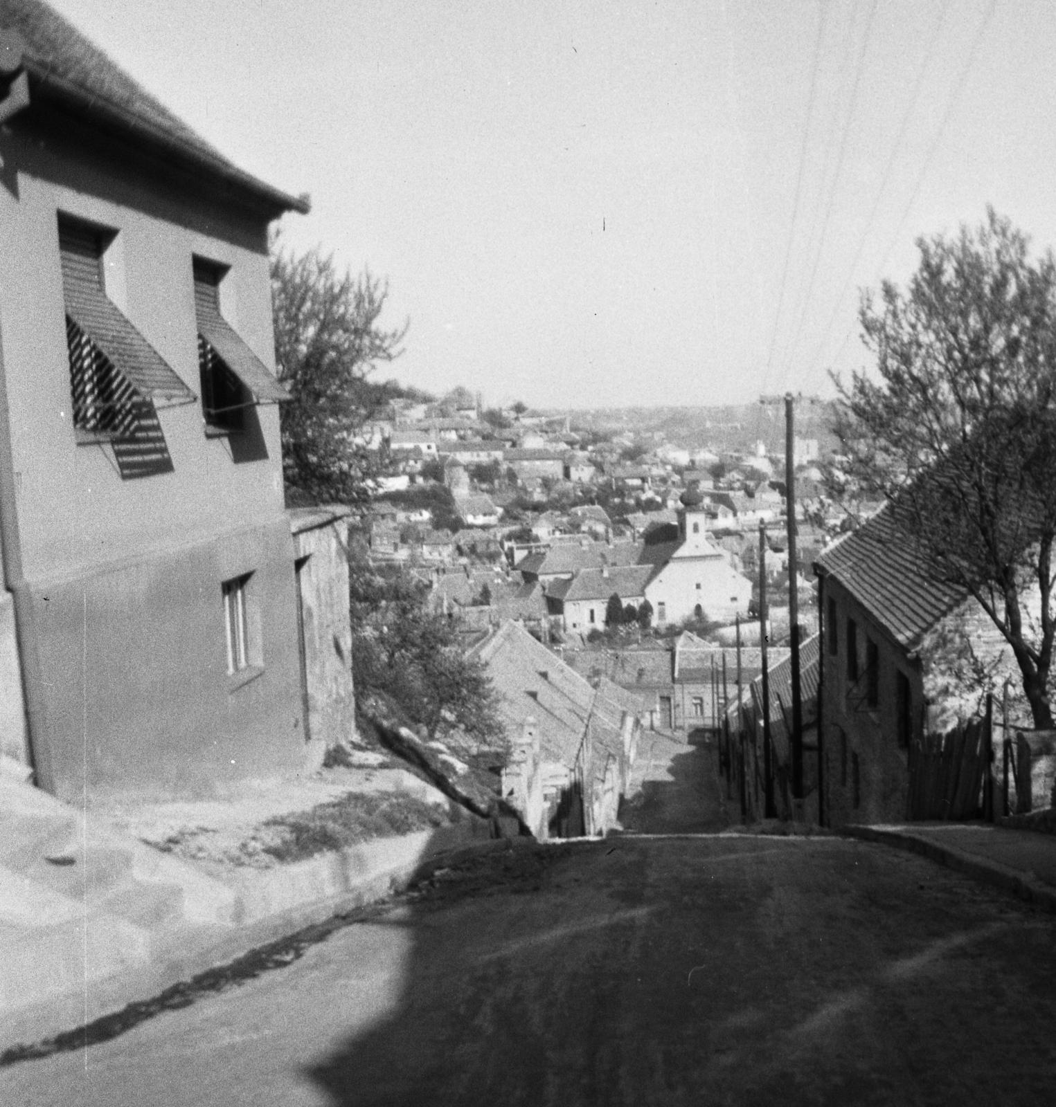 1962, Bán Tamás, Fortepan #304323