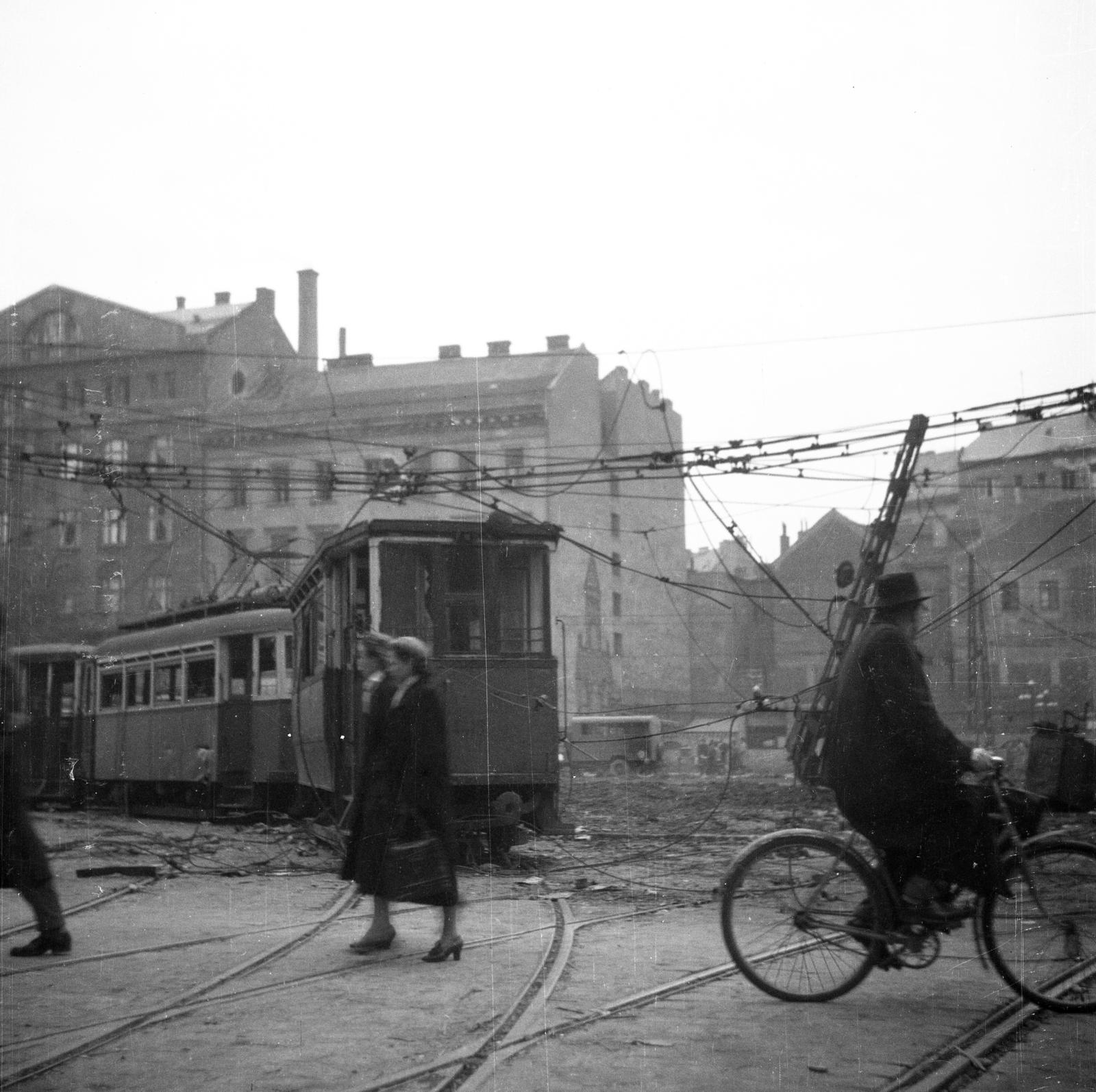 1956, Bán Tamás, Fortepan #304344