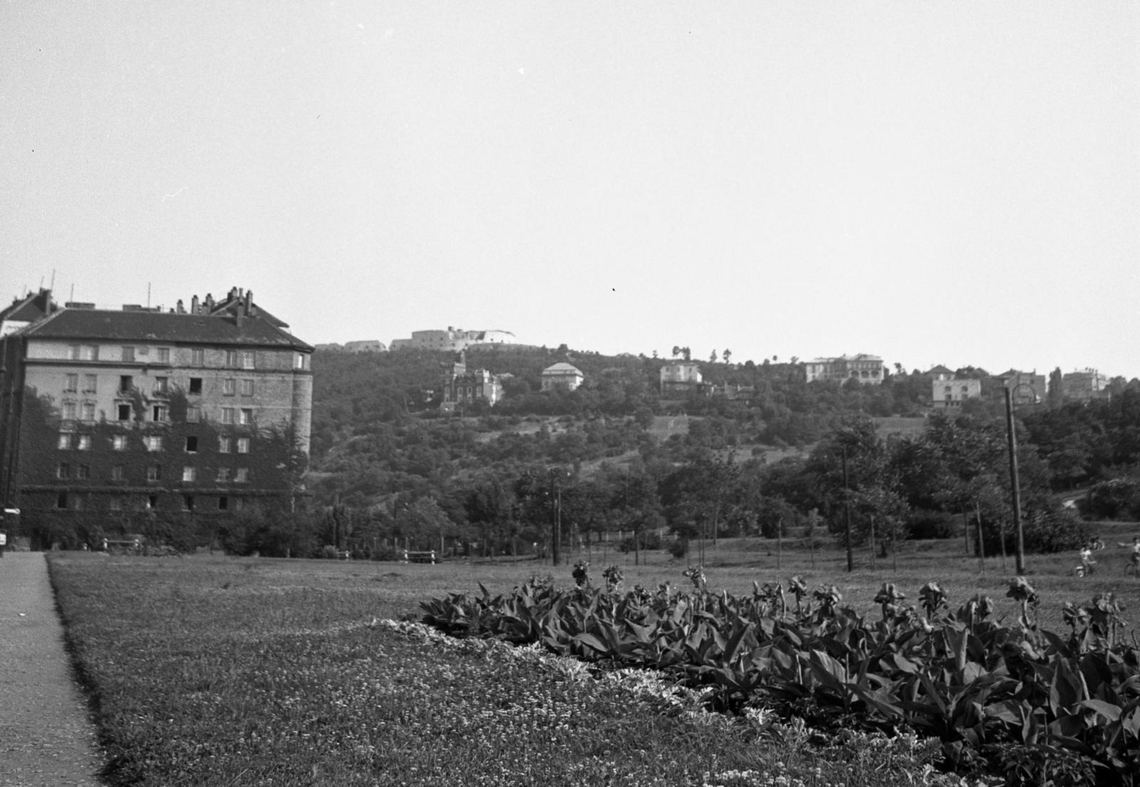 1960, Bán Tamás, Fortepan #304362