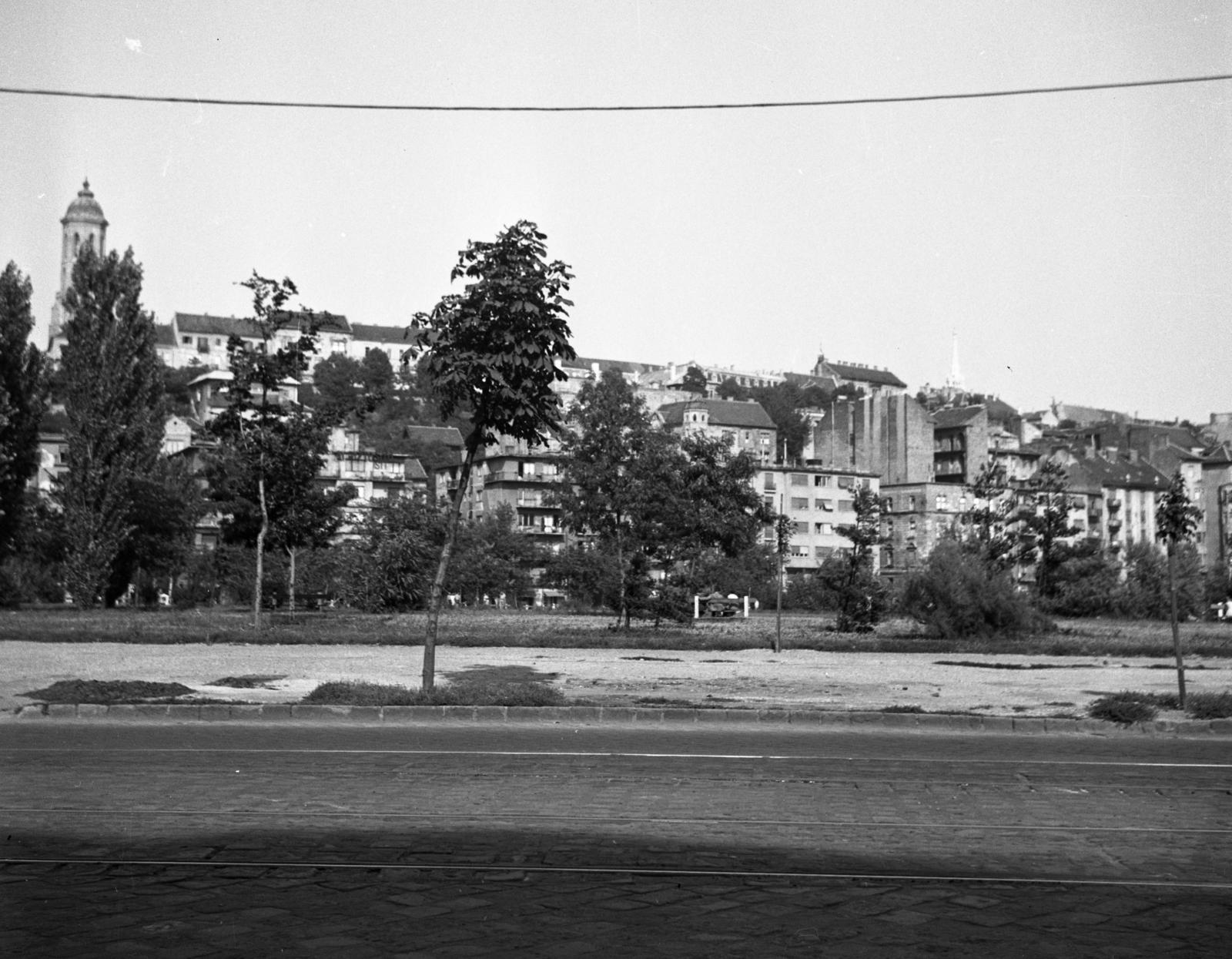 1960, Bán Tamás, park, Fortepan #304364