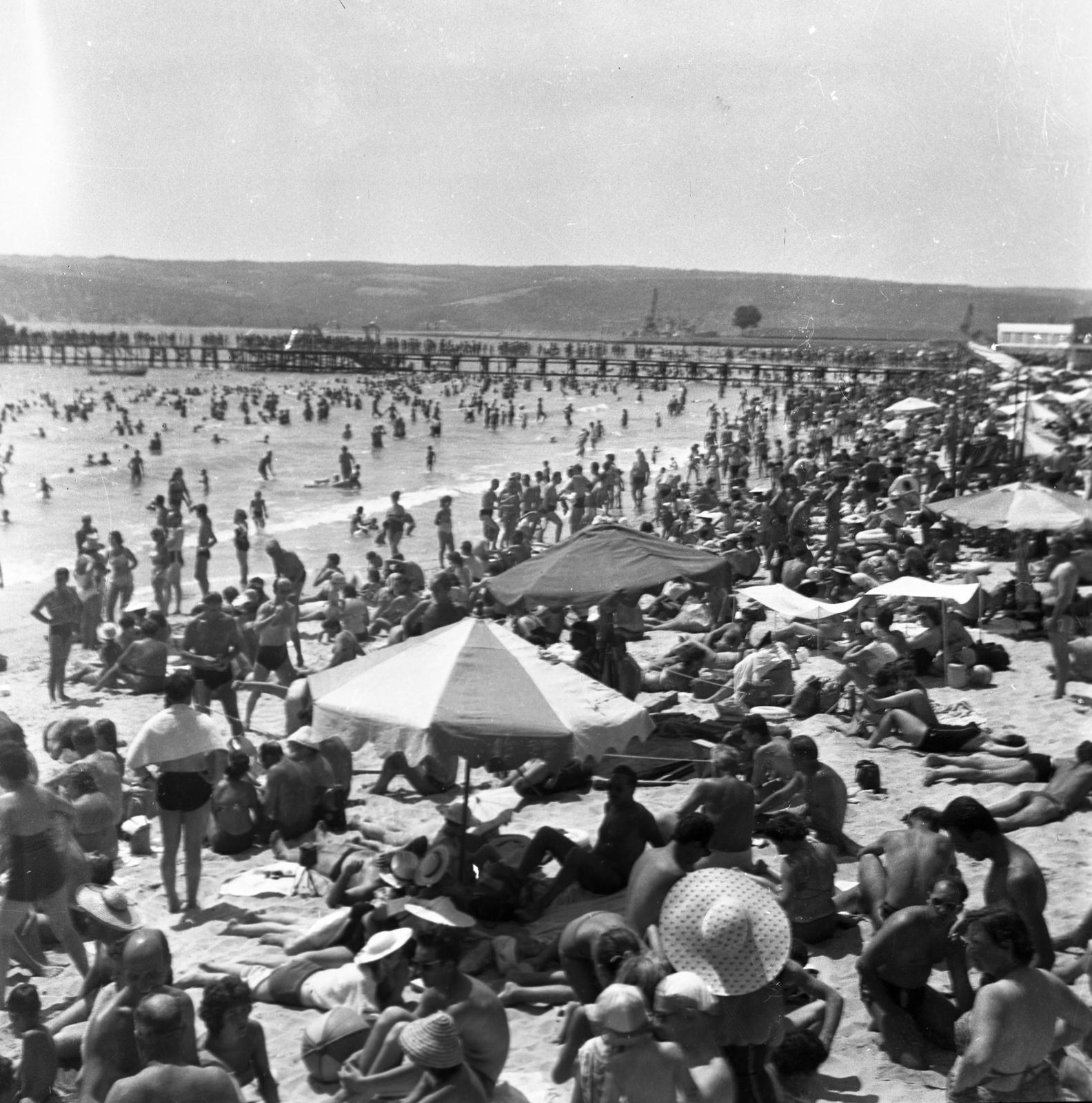 1962, Bán Tamás, sea shore, sunshades, Fortepan #304389