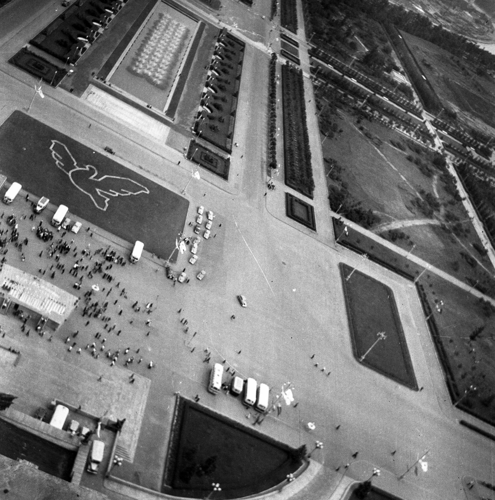 1963, Bán Tamás, békegalamb, ferde, Fortepan #304417