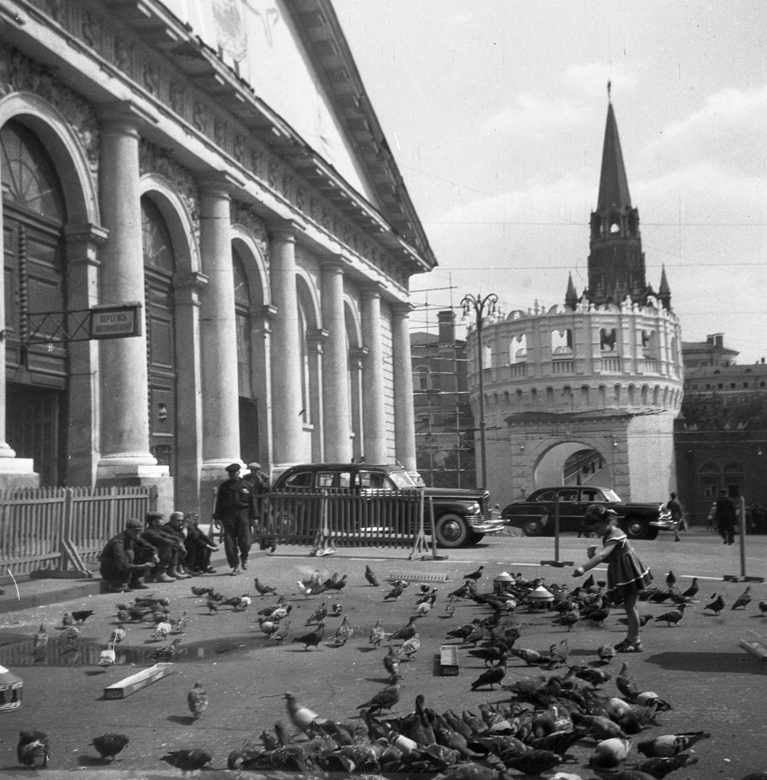 1963, Bán Tamás, etetés, galamb, Fortepan #304419