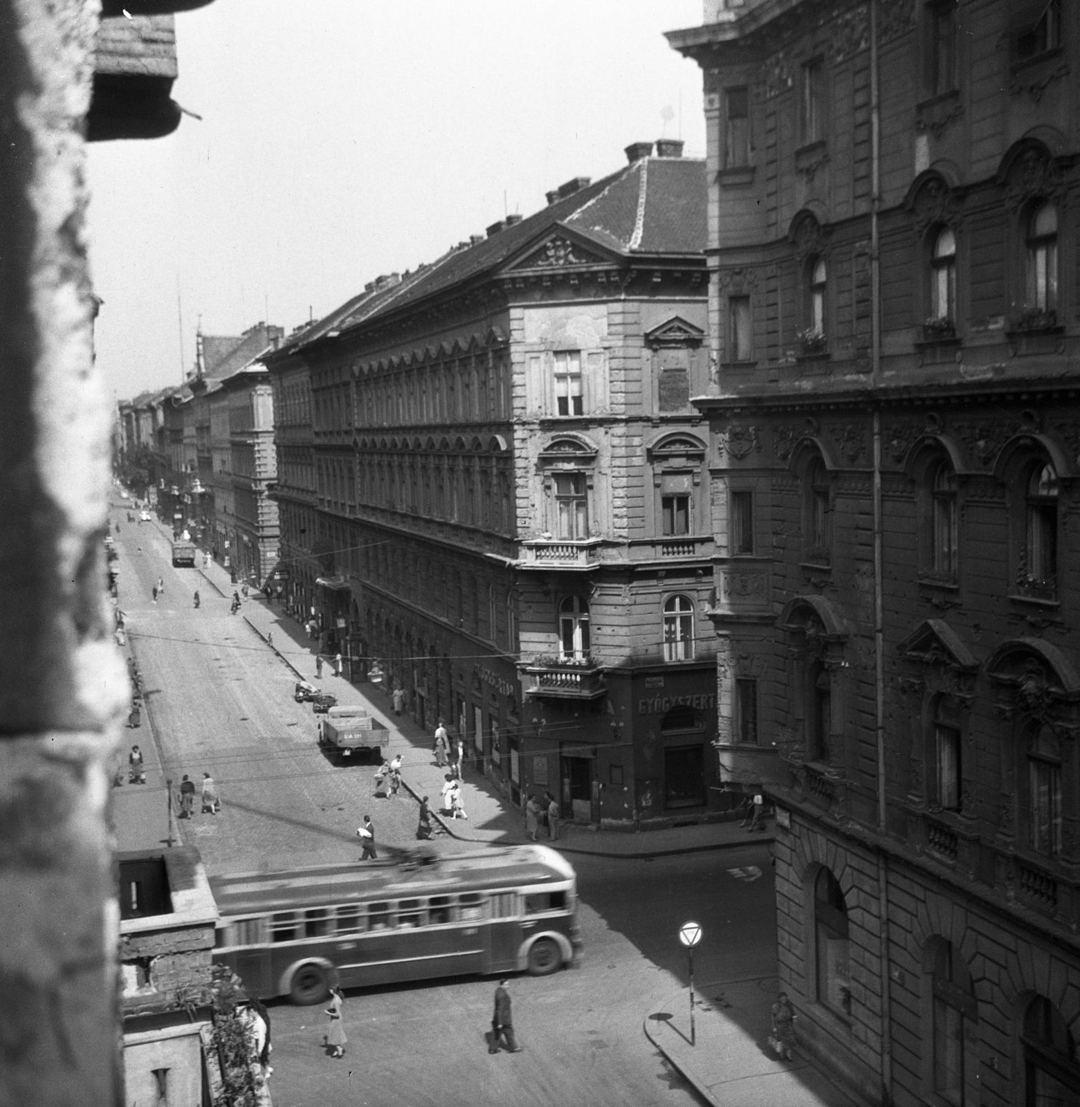 1963, Bán Tamás, Fortepan #304426