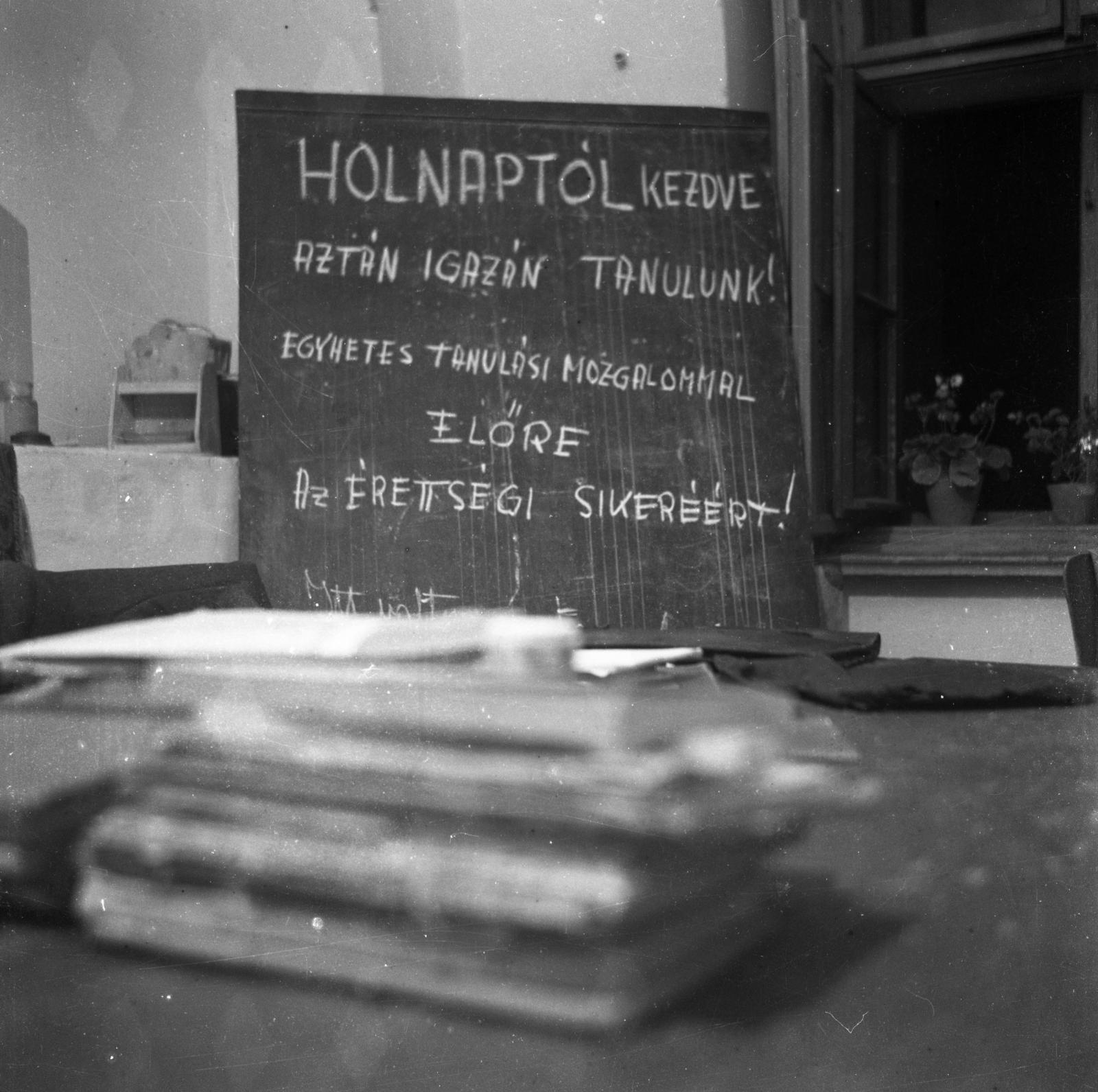 1955, Bán Tamás, matura exam, humour, label, Fortepan #304432