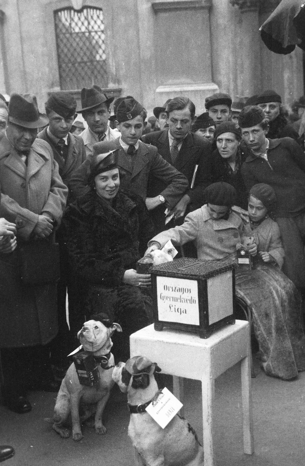 Hungary, Budapest V., Ferenciek tere, adománygyűjtés az Országos Gyermekvédő Liga számára a Belvárosi Ferences templom bejáratánál. Persellyel a kezében Darányi Kálmán miniszterelnök felesége., 1936, Inkey Tibor, Budapest, dog, Fortepan #304530