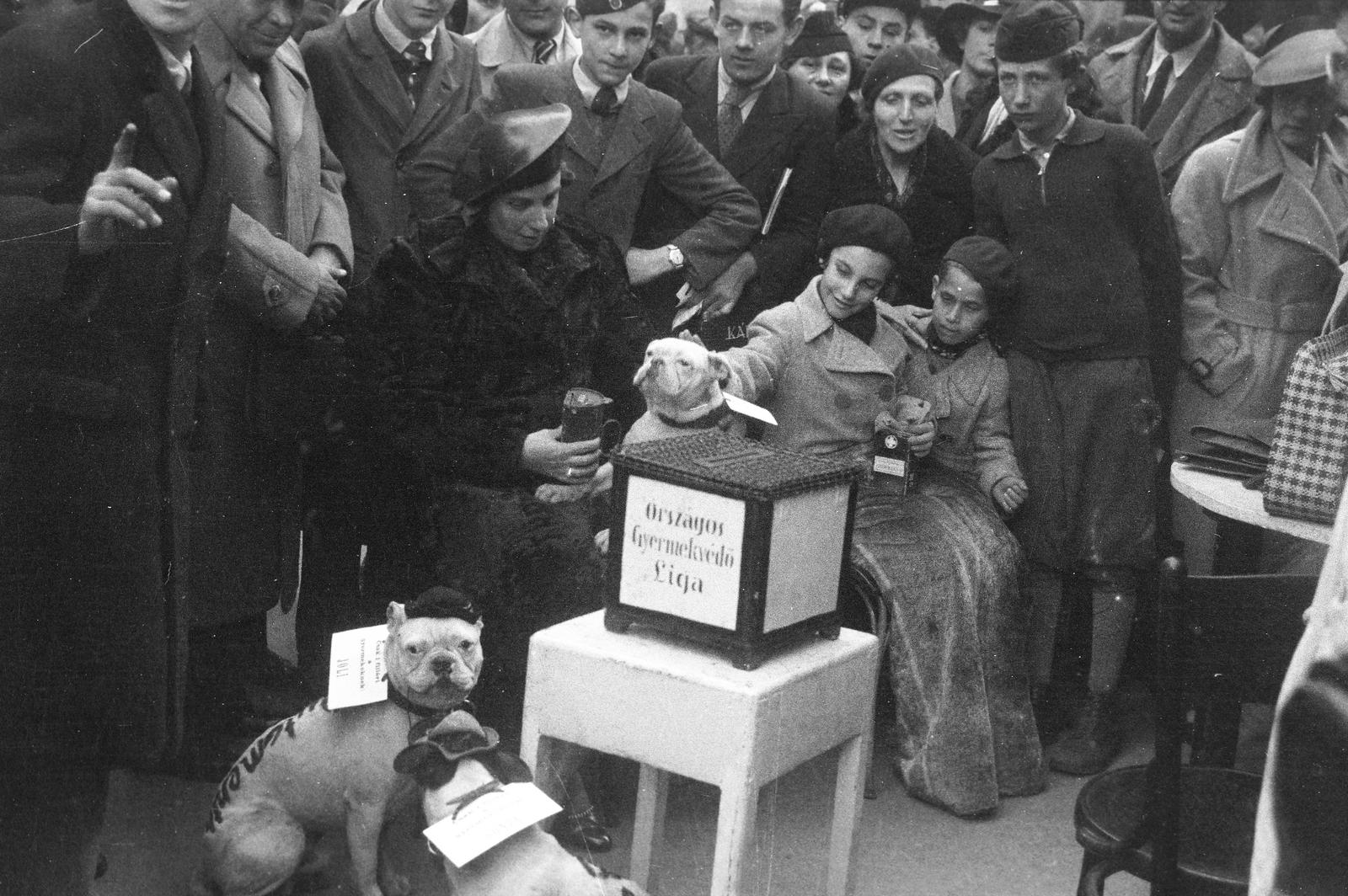 Hungary, Budapest V., Ferenciek tere, adománygyűjtés az Országos Gyermekvédő Liga számára a Belvárosi Ferences templom bejáratánál. Persellyel a kezében Darányi Kálmán miniszterelnök felesége., 1936, Inkey Tibor, Budapest, gaping, dog, charity, Fortepan #304531