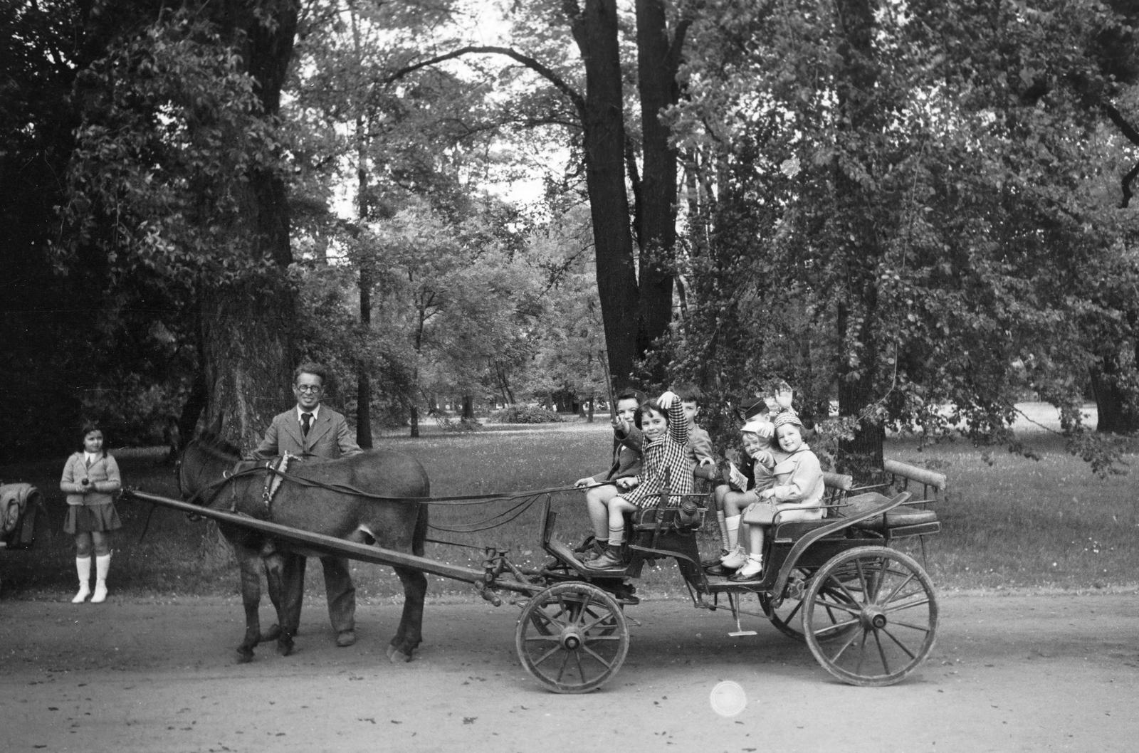 1939, Inkey Tibor, fogat, póniló, gyerekek, Fortepan #304678