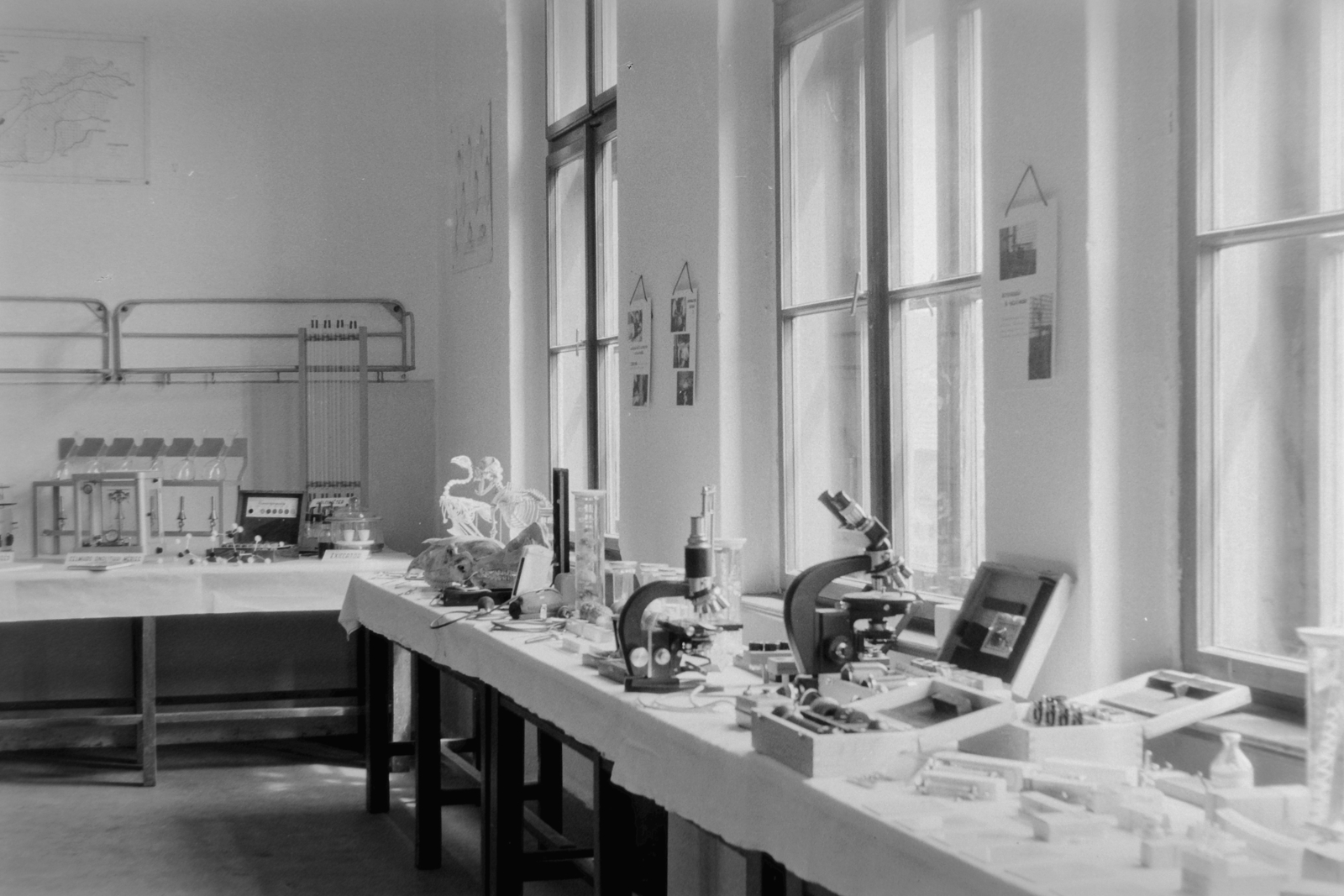 1960, Németh Tamás, museum, interior, table, microscope, Fortepan #30480