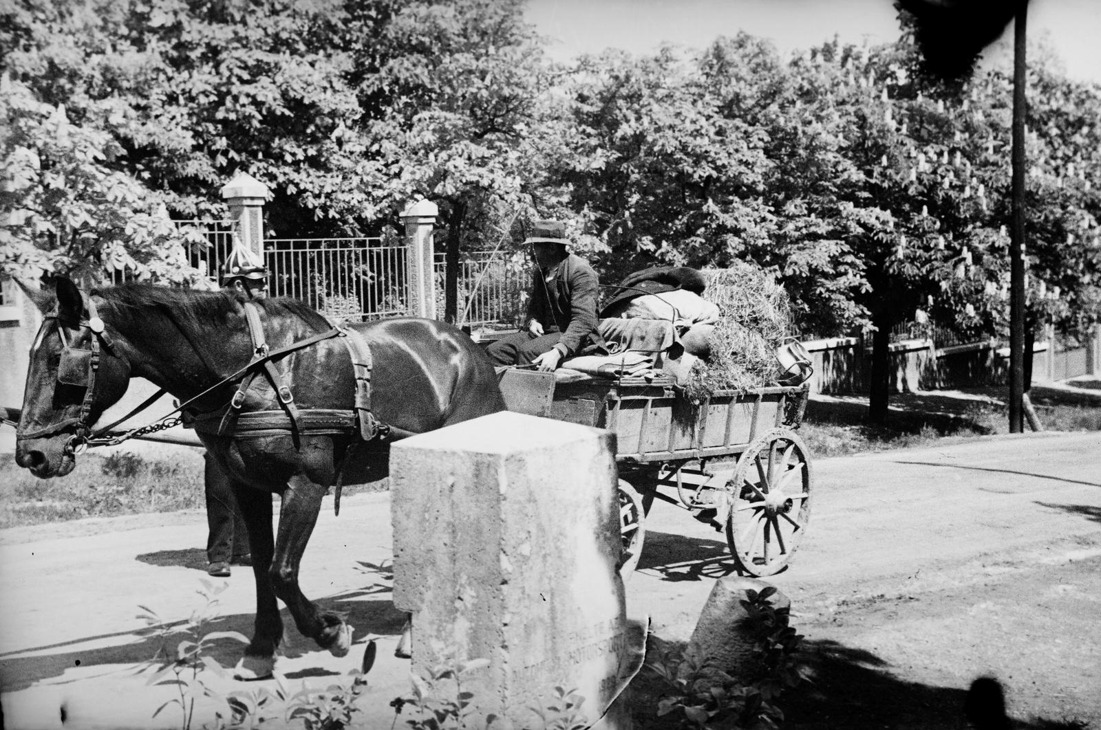 Hungary, Budapest II.,Budapest XII., Budakeszi út, a felvétel a 48. számú telek elött készült. 1937. május 9-én az V. Magyar Motorkerékpár Nagy Díj napján megkoszorúzták Rupert Karner motorversenyző emlékművét., 1937, Inkey Tibor, Budapest, Fortepan #304811