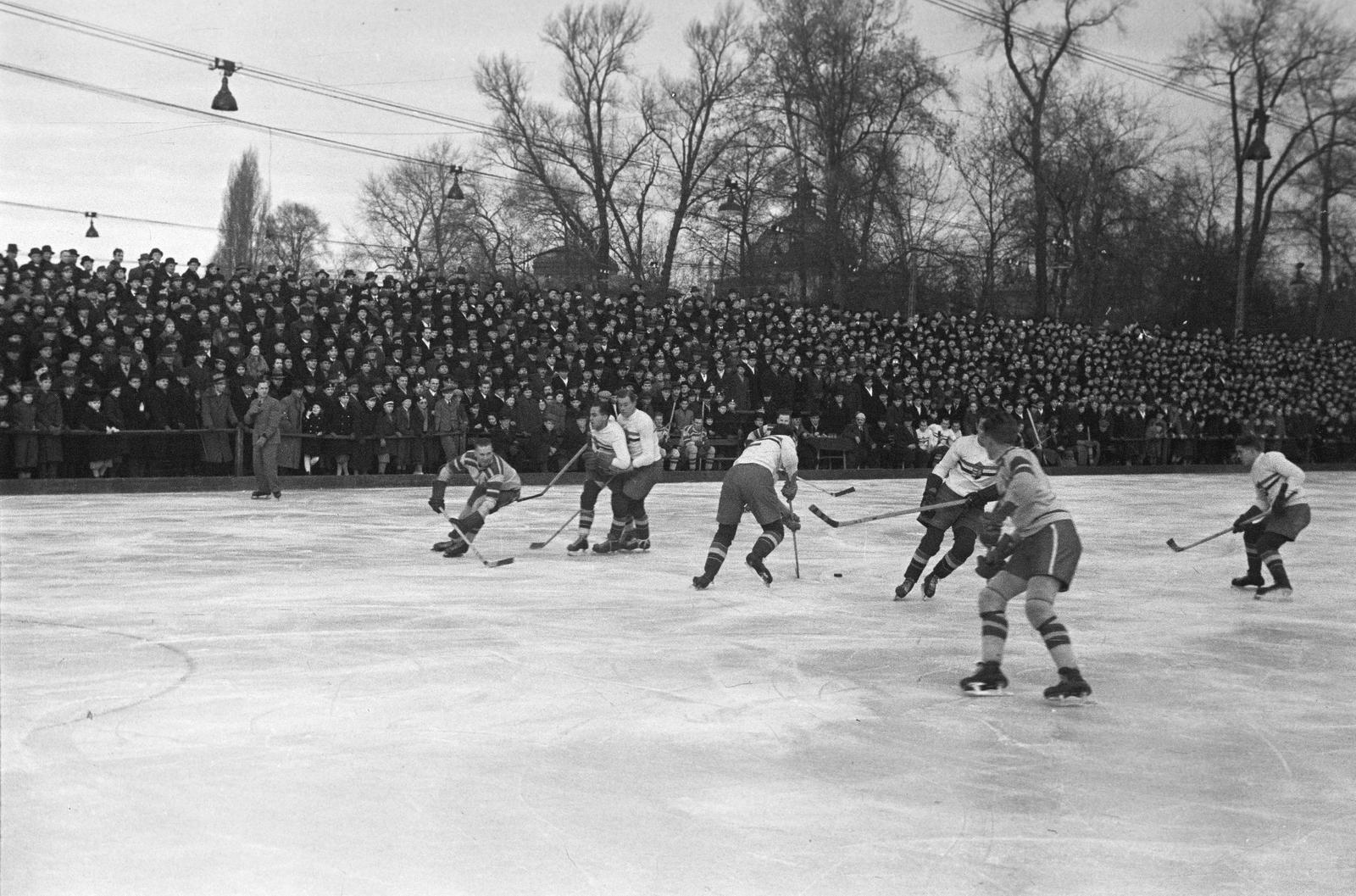 1937, Inkey Tibor, audience, ice hockey, Fortepan #304845