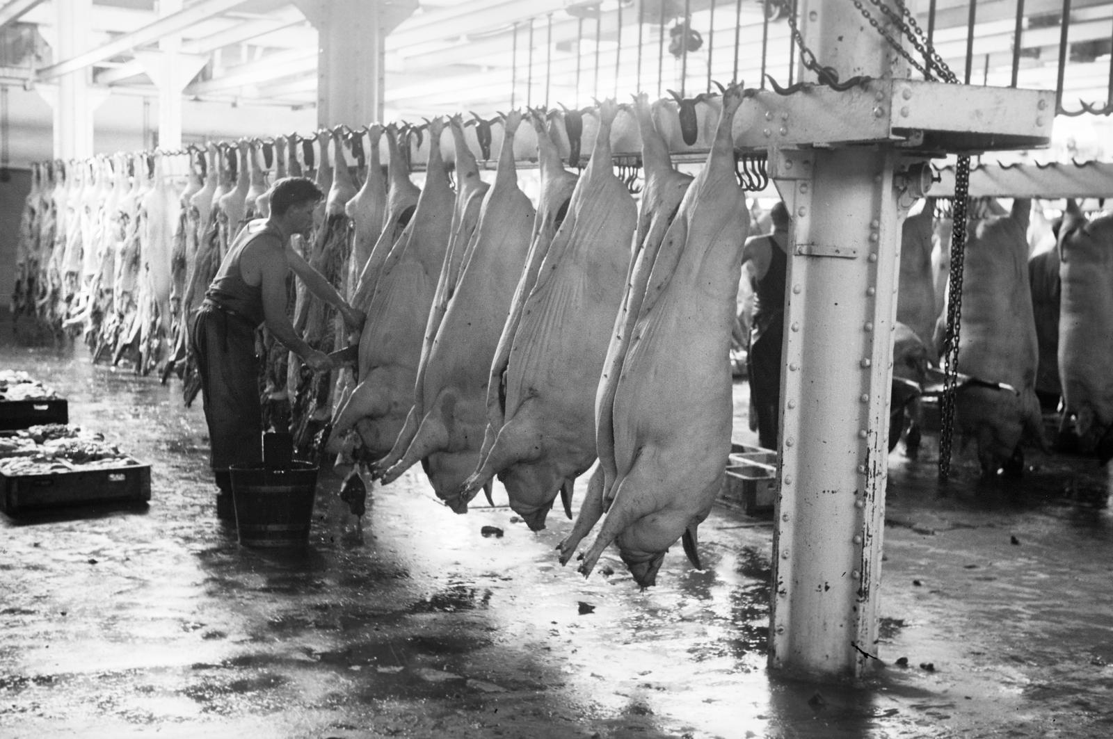 1940, Inkey Tibor, Fortepan #306211