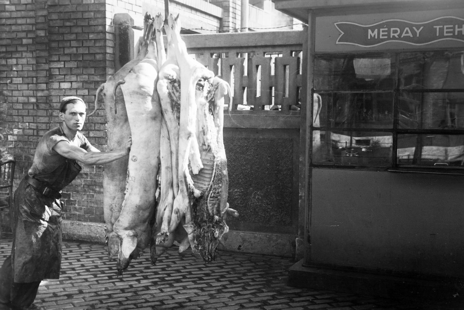 Hungary, Budapest IX., Gubacsi út 6., Sertésközvágóhíd., 1940, Inkey Tibor, slaughterhouse, pig, Budapest, Fortepan #306212