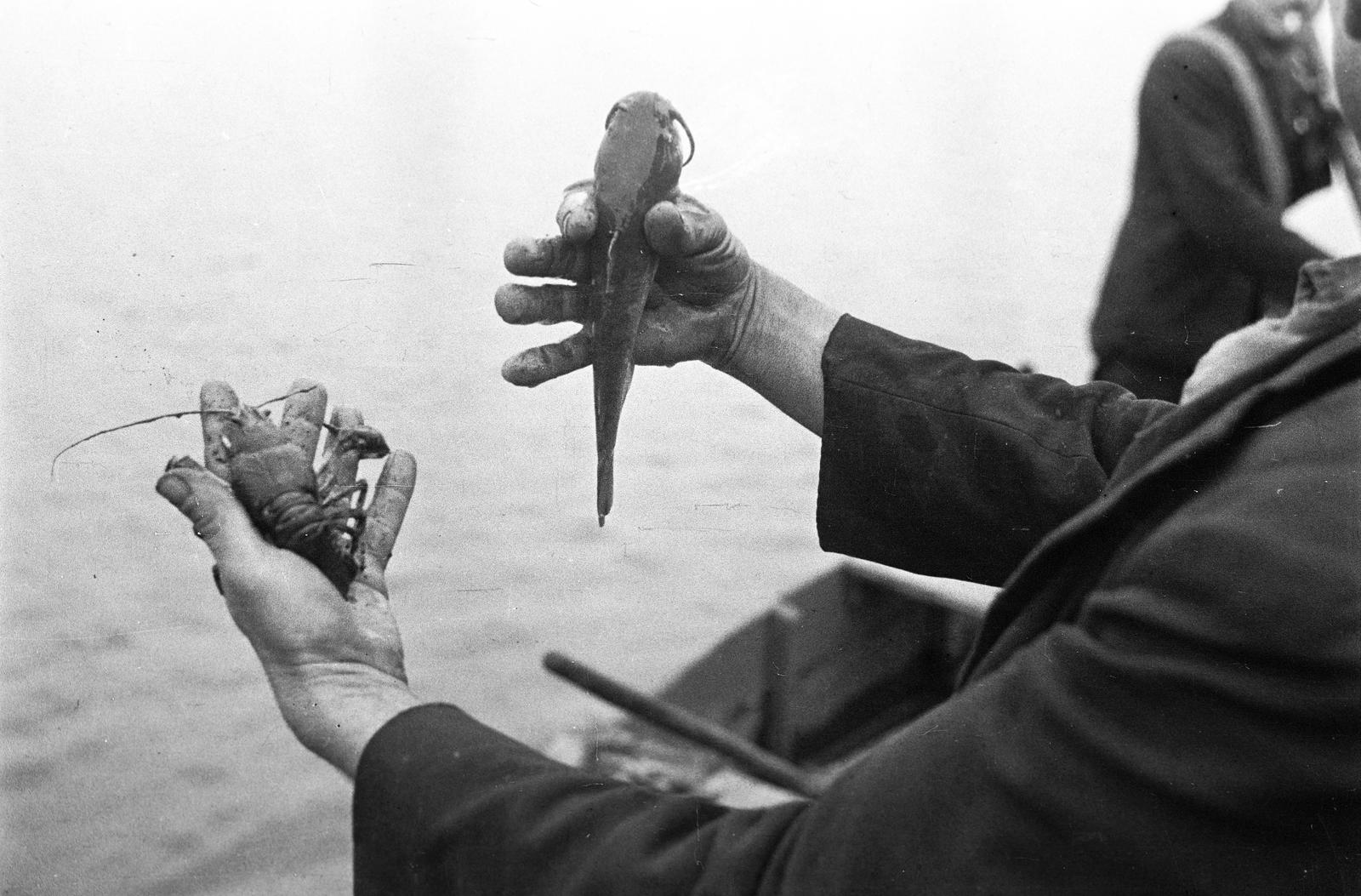 1940, Inkey Tibor, hold in arms, shrimp, fish, Fortepan #306225