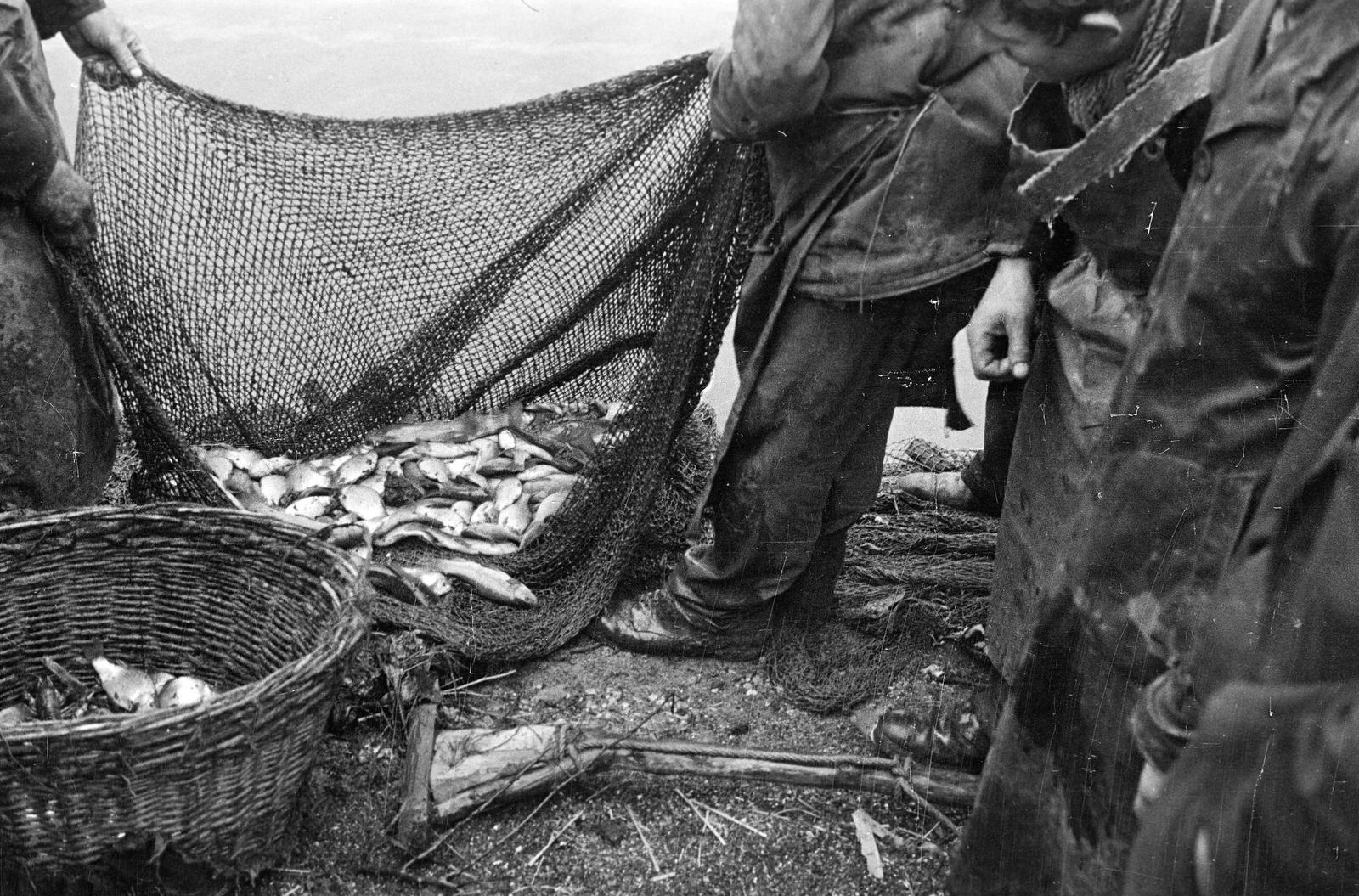 Hungary, Budapest XI., halászok a Lágymányosi-tó partján., 1940, Inkey Tibor, fishing net, Budapest, Fortepan #306227