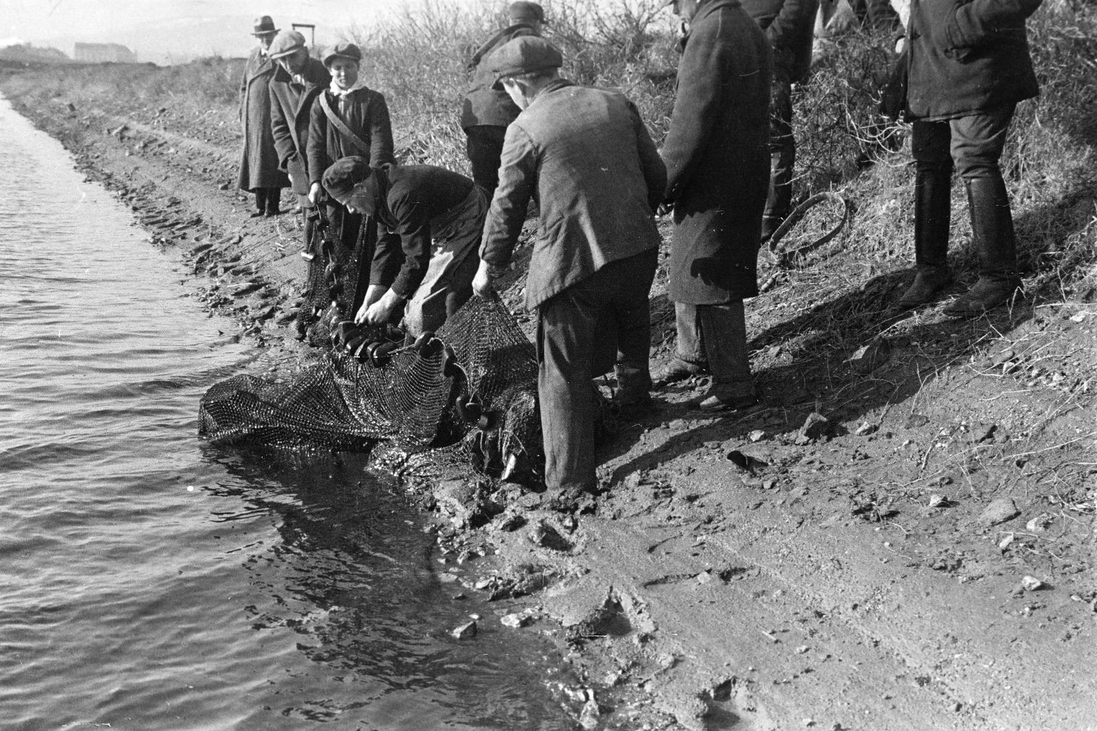 1940, Inkey Tibor, Fortepan #306248