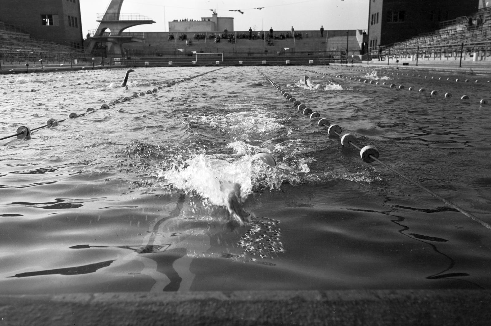 1936, Inkey Tibor, víztükör, úszóverseny, Fortepan #306443