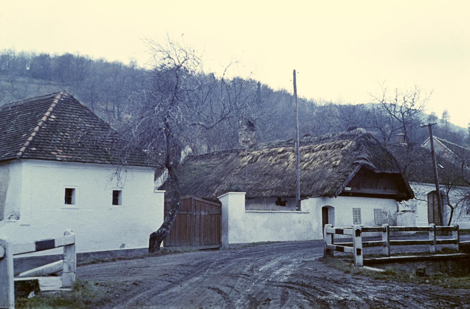 Magyarország, 1961, Gazda Anikó, Fortepan #307002