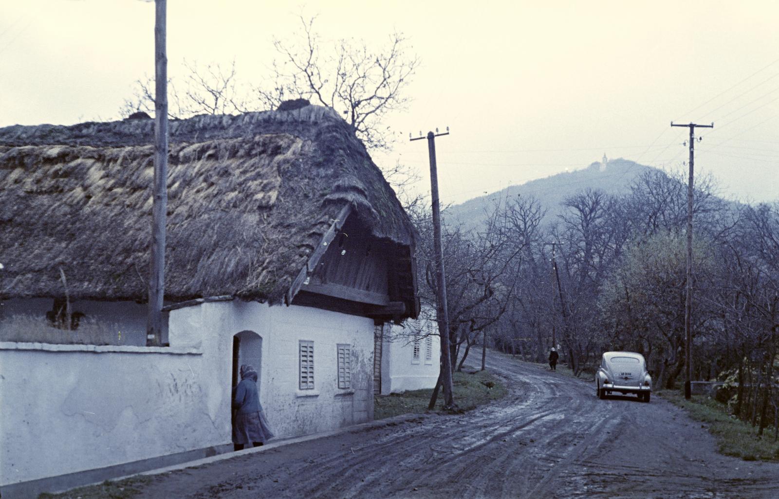 Hungary, 1961, Gazda Anikó, Fortepan #307003