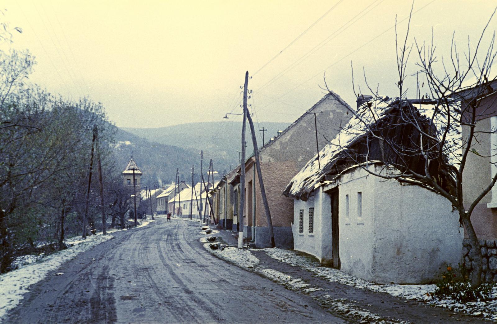 Hungary, 1961, Gazda Anikó, Fortepan #307007