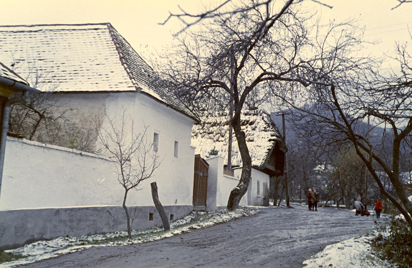 Hungary, 1961, Gazda Anikó, Fortepan #307008