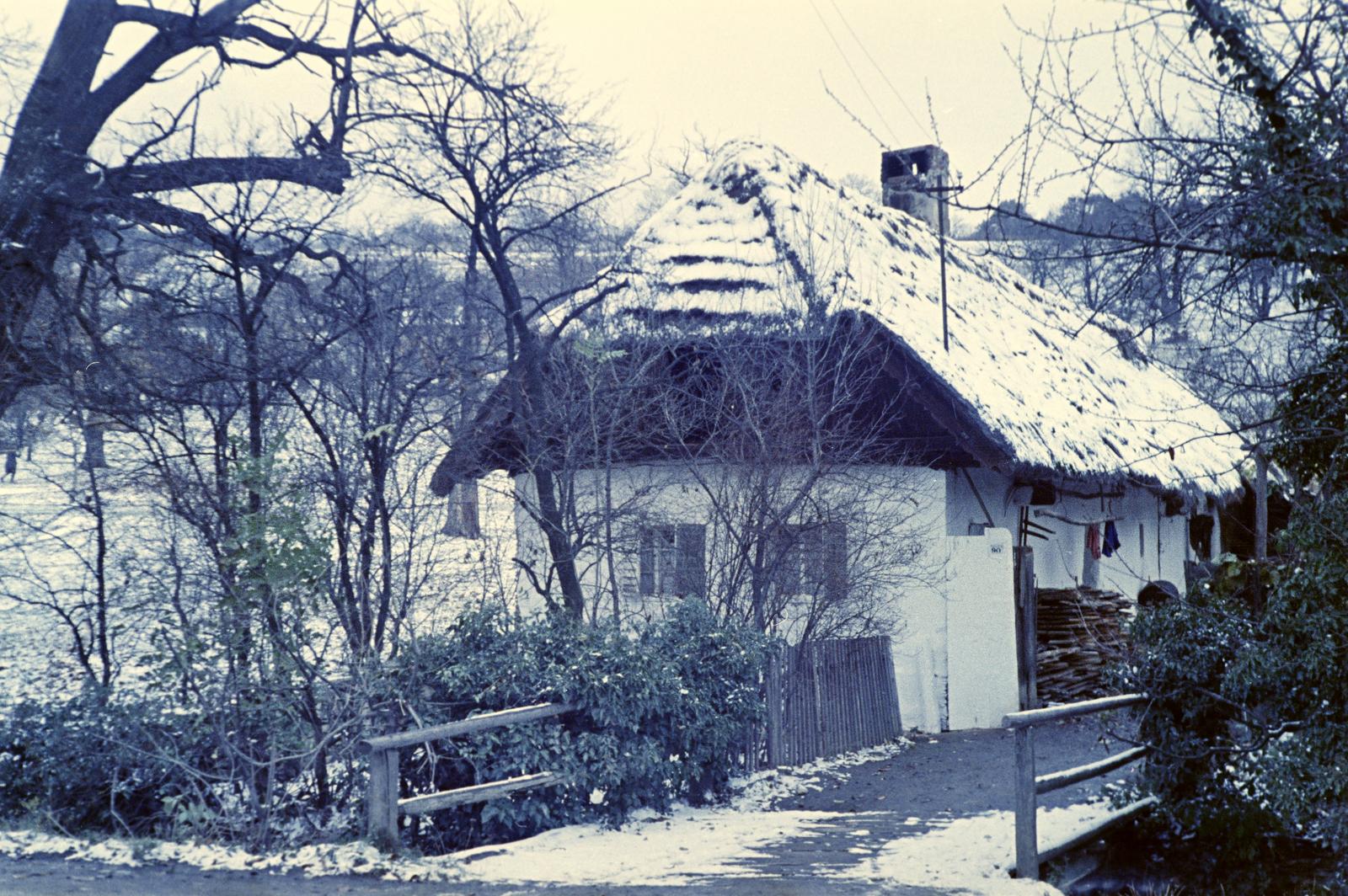 Hungary, 1961, Gazda Anikó, Fortepan #307009
