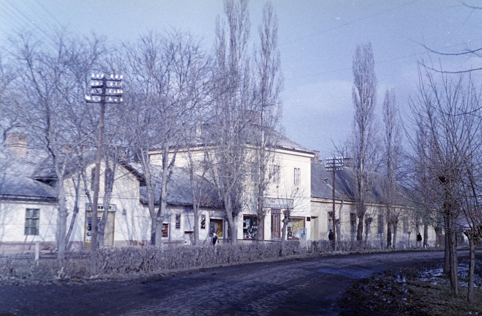 Magyarország, 1964, Gazda Anikó, Fortepan #307010