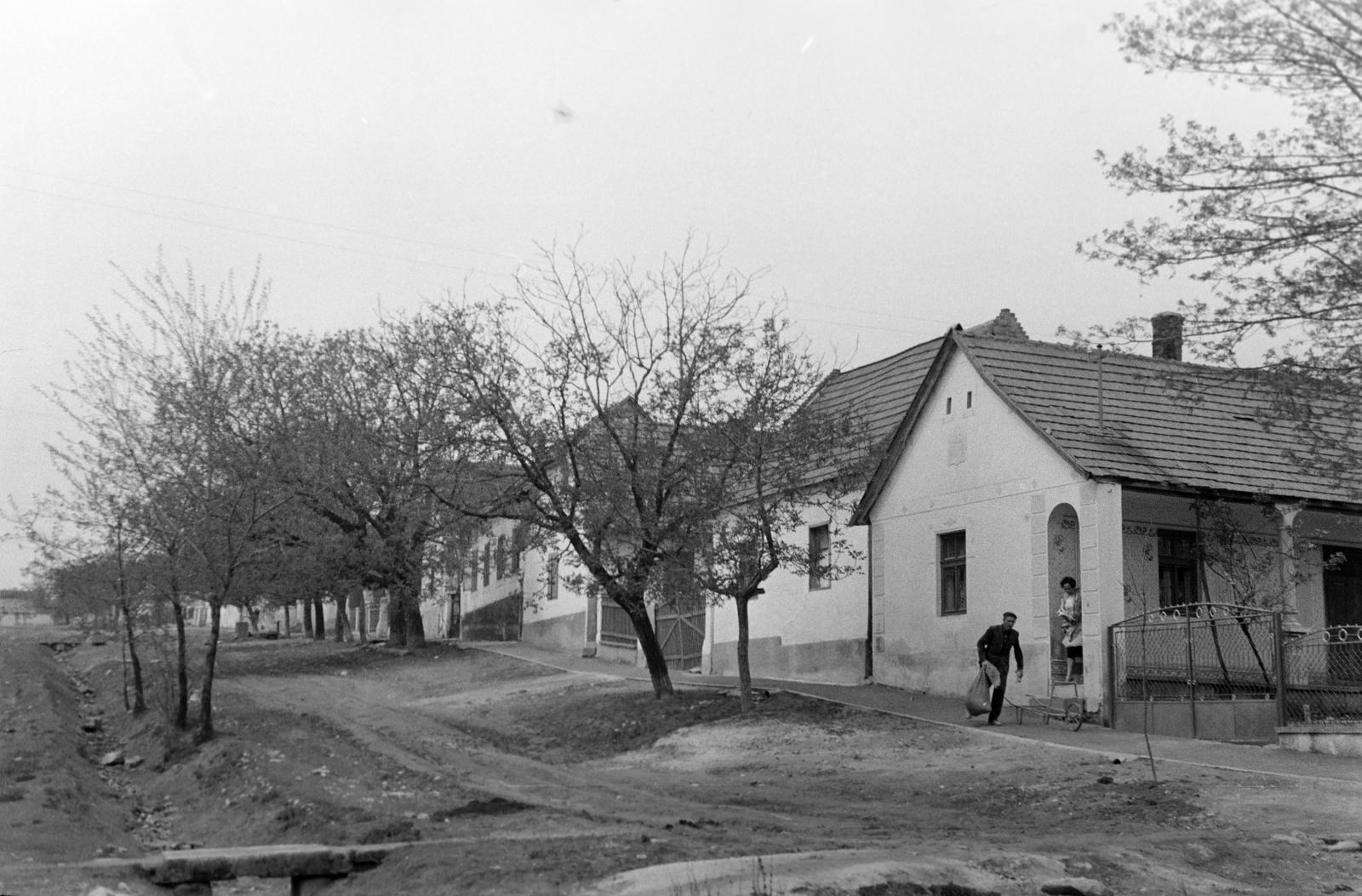 Hungary, 1965, Gazda Anikó, Fortepan #307022