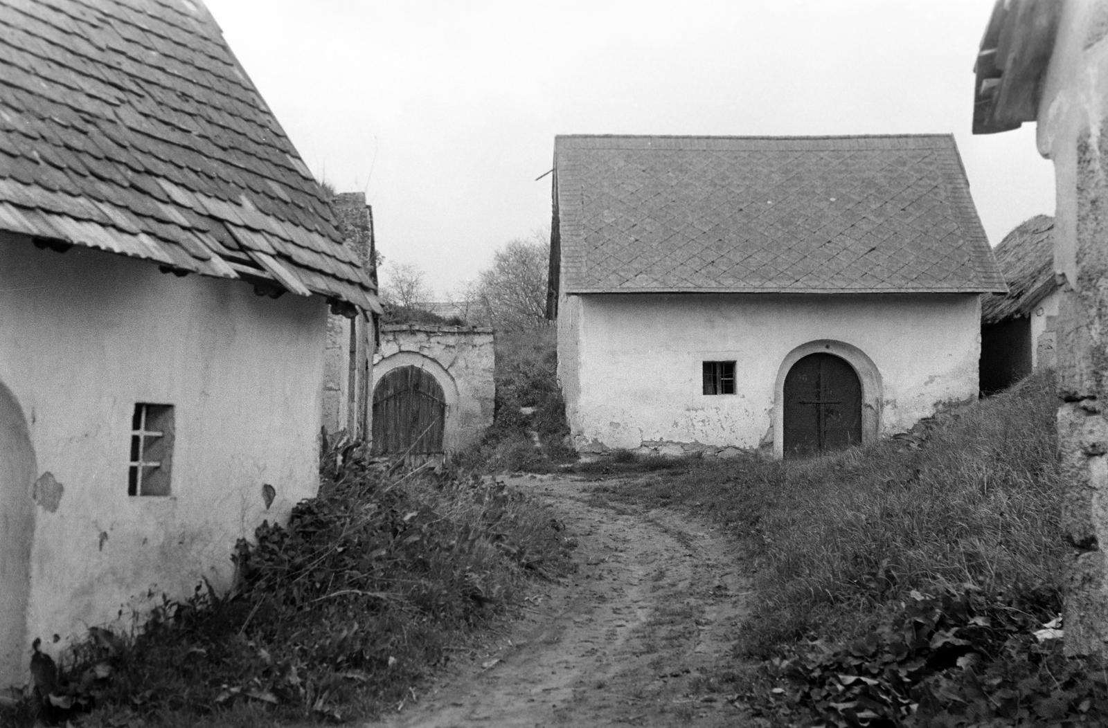 Magyarország, 1965, Gazda Anikó, Fortepan #307023