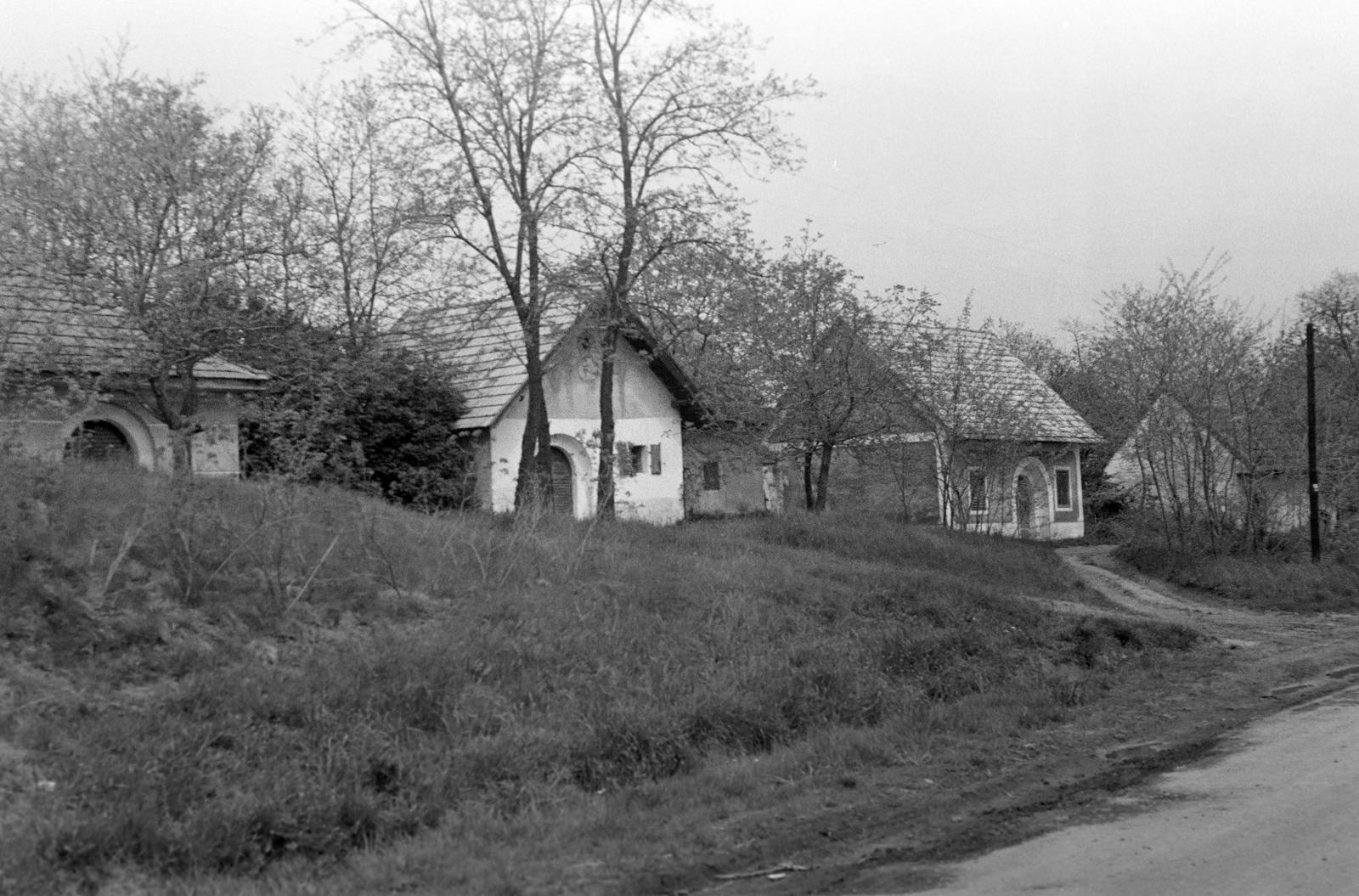 Hungary, 1965, Gazda Anikó, Fortepan #307024