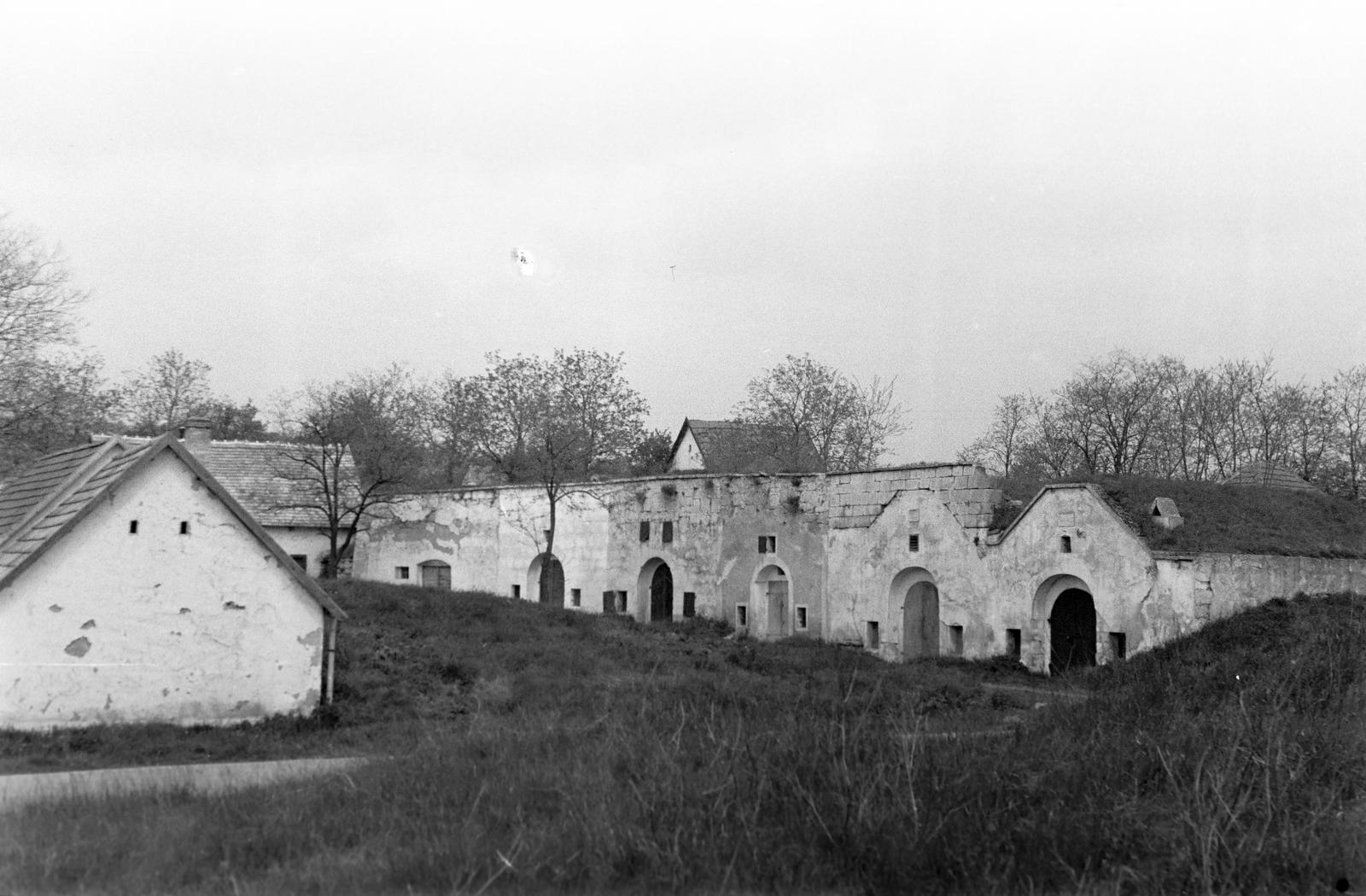 Hungary, 1965, Gazda Anikó, Fortepan #307025