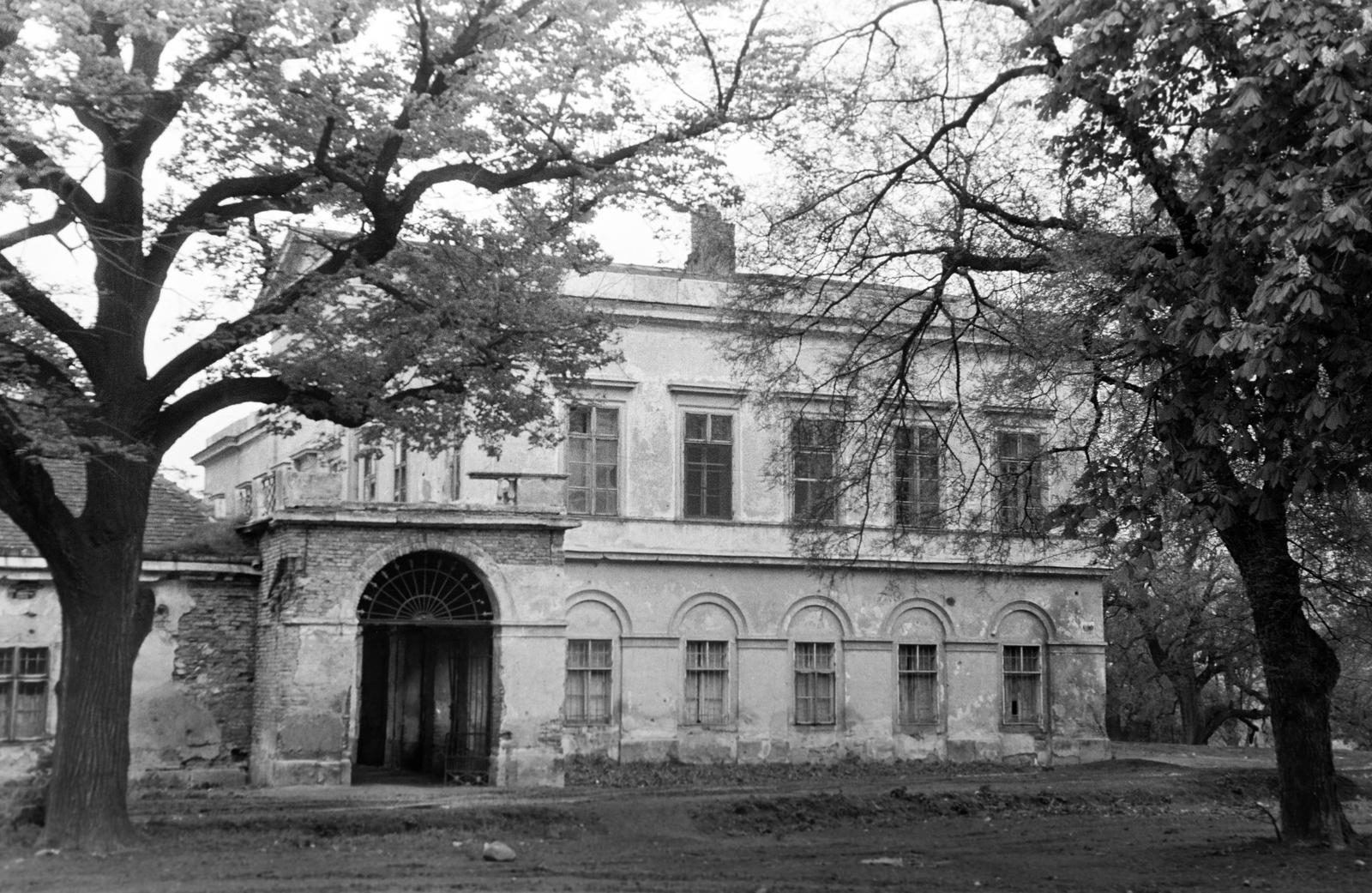 Hungary, Bajna, Gr. Sándor Móric utca, Sándor-Metternich kastély (Hild József)., 1965, Gazda Anikó, Fortepan #307026