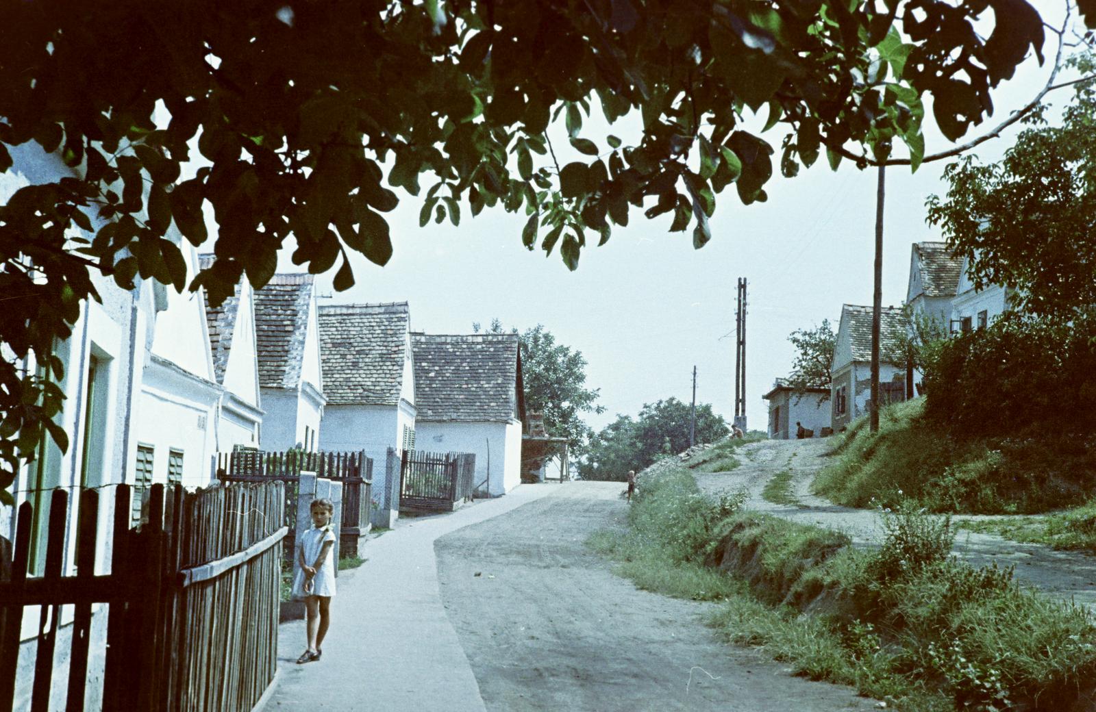 Magyarország, 1960, Gazda Anikó, Fortepan #307038