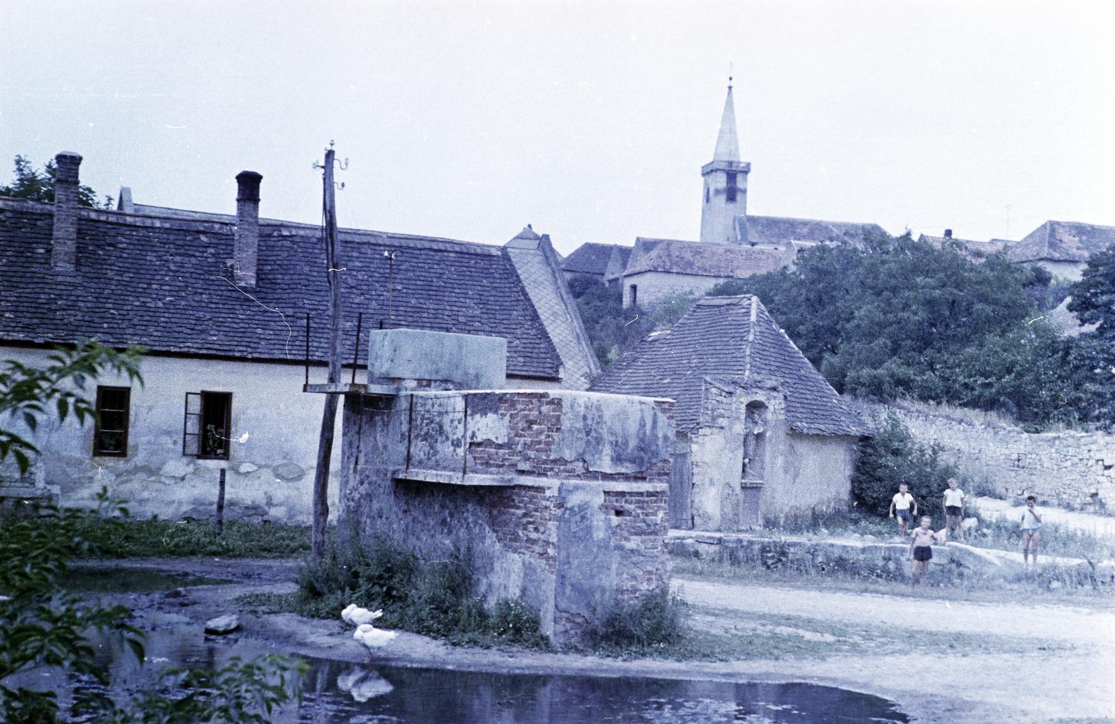 Magyarország, 1960, Gazda Anikó, Fortepan #307043