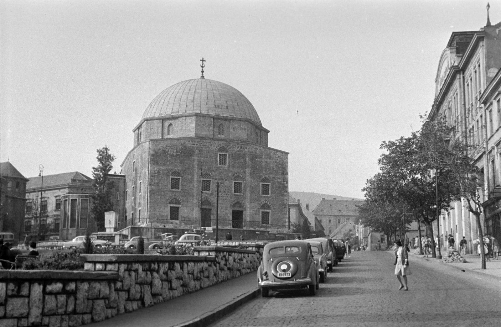 Magyarország, 1958, Gazda Anikó, Fortepan #307056